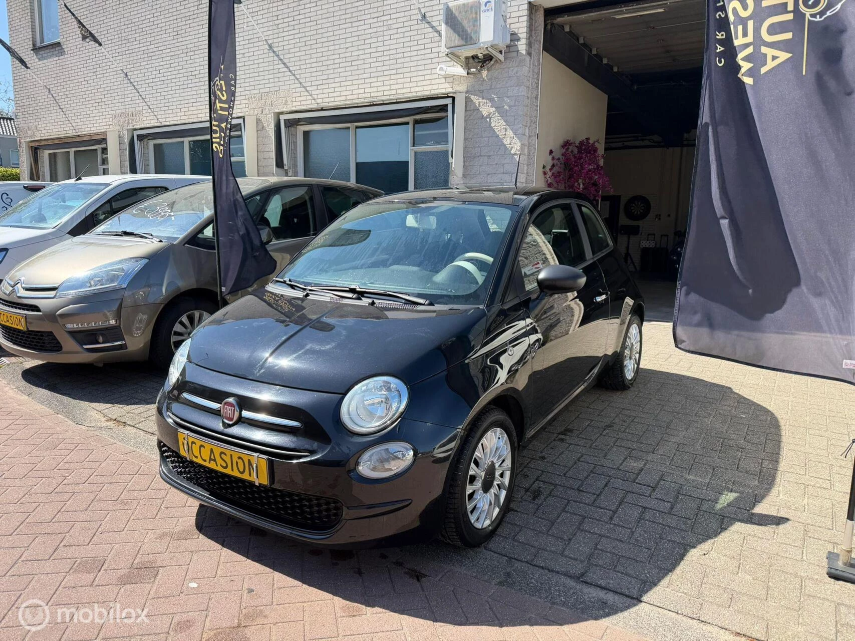 Hoofdafbeelding Fiat 500