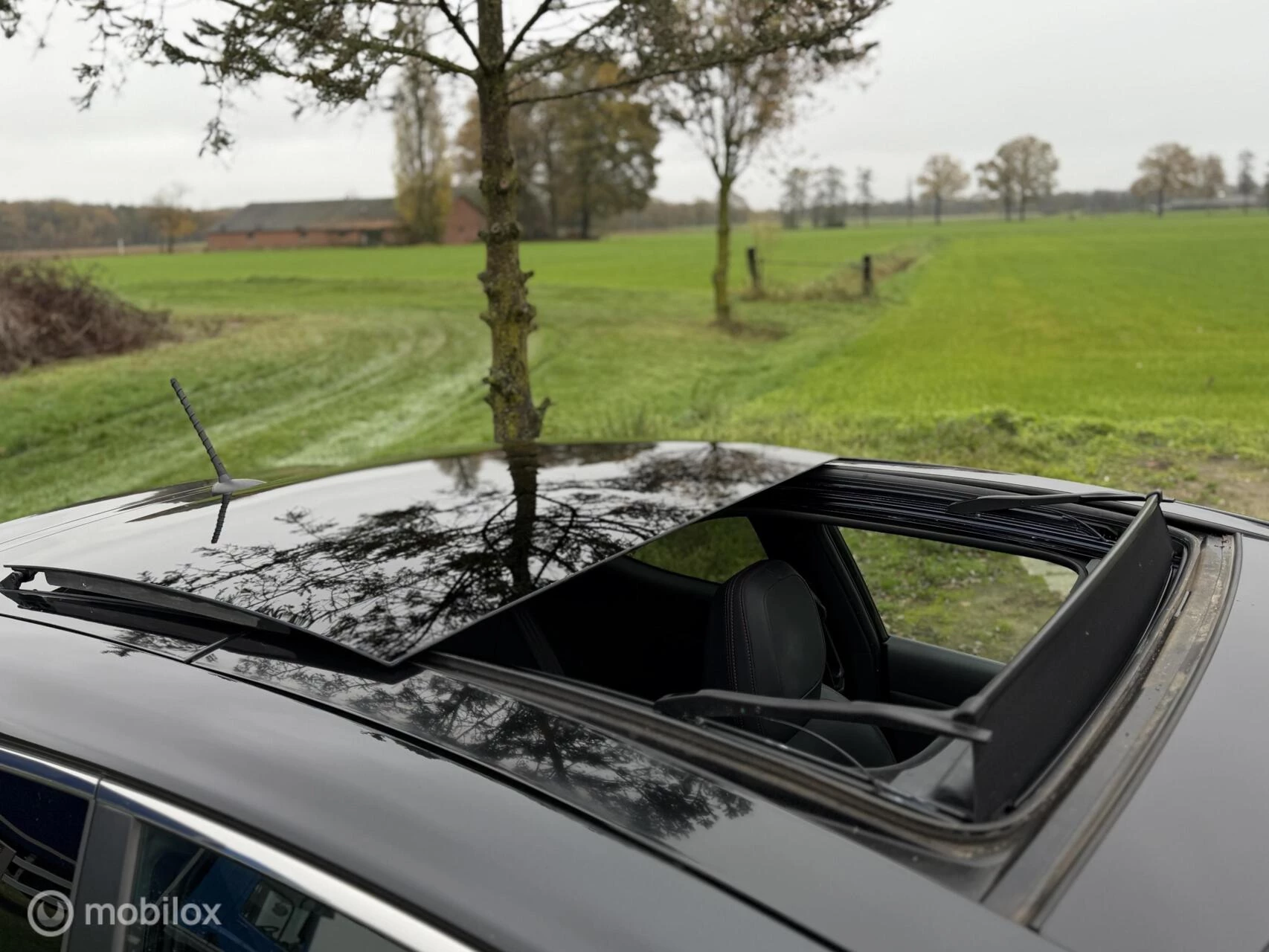 Hoofdafbeelding Kia pro_cee'd