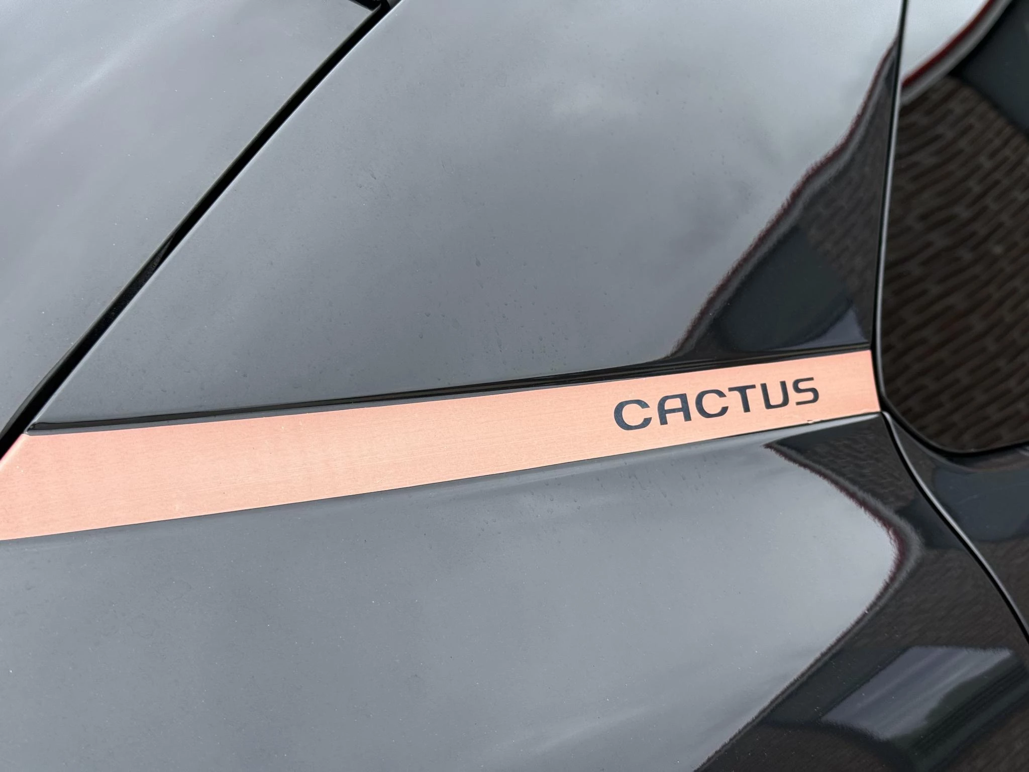 Hoofdafbeelding Citroën C4 Cactus
