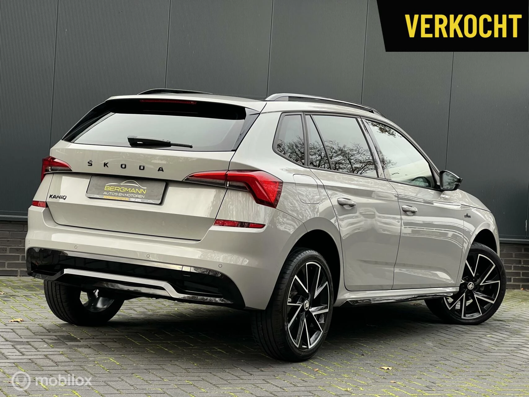 Hoofdafbeelding Škoda Kamiq