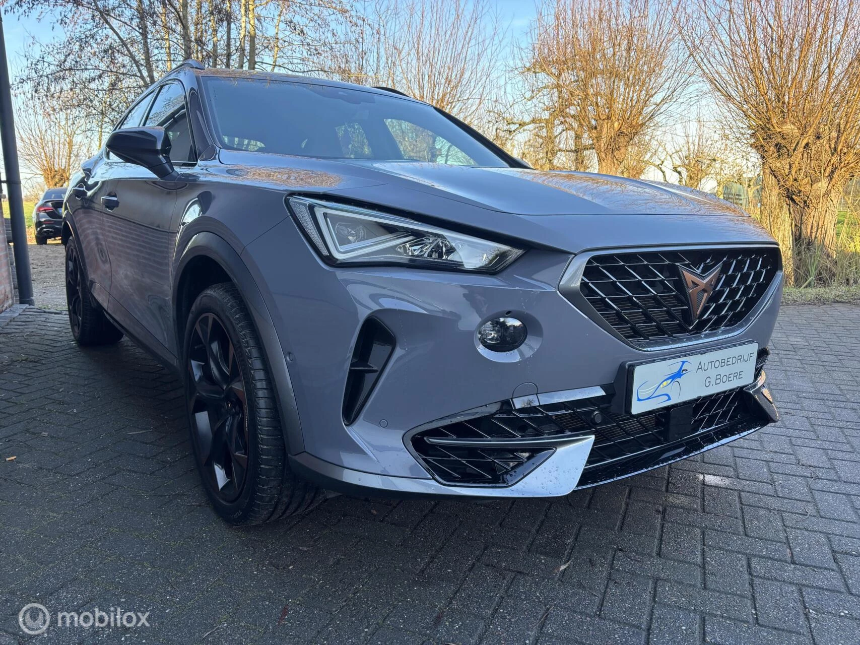 Hoofdafbeelding CUPRA Formentor