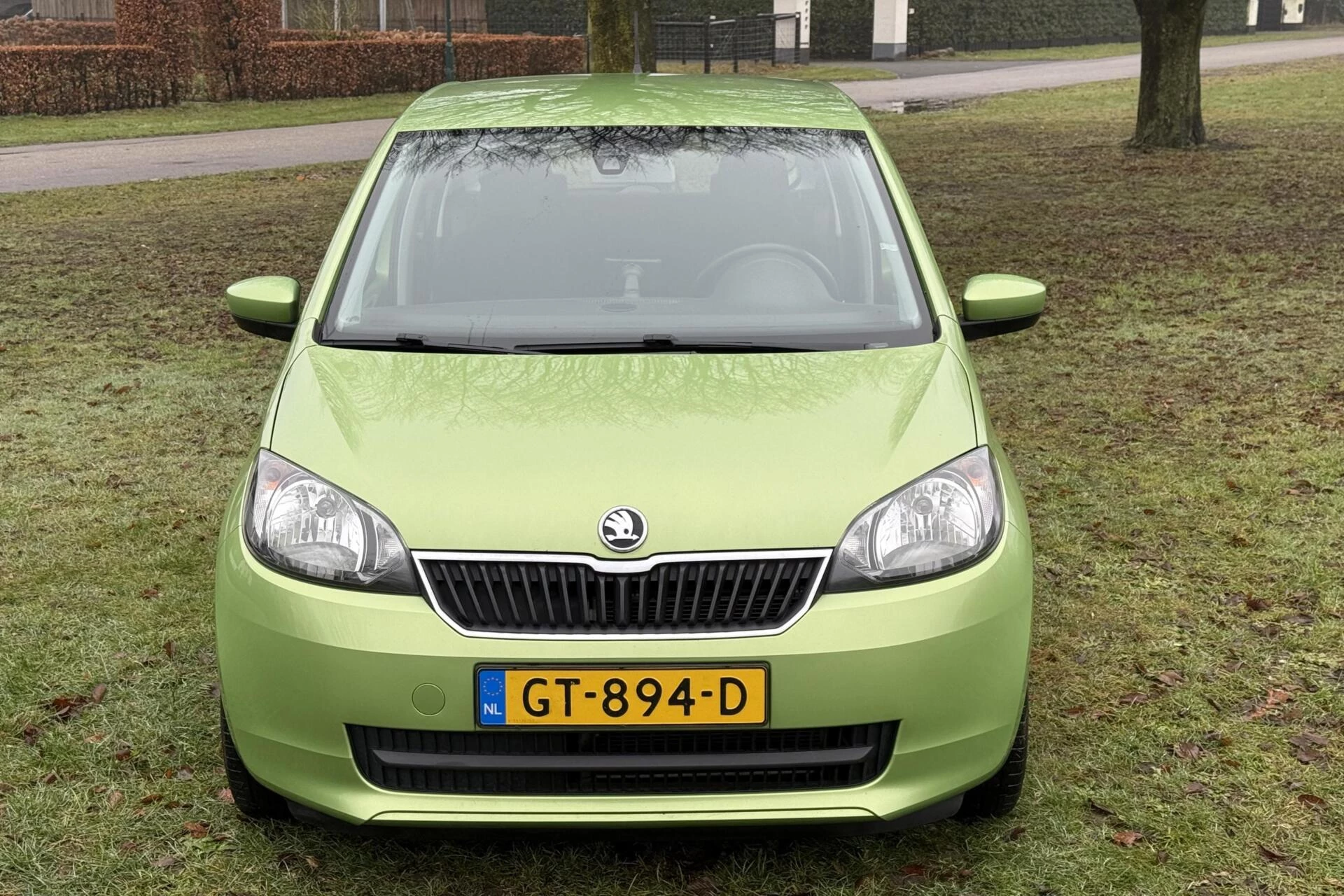 Hoofdafbeelding Škoda Citigo