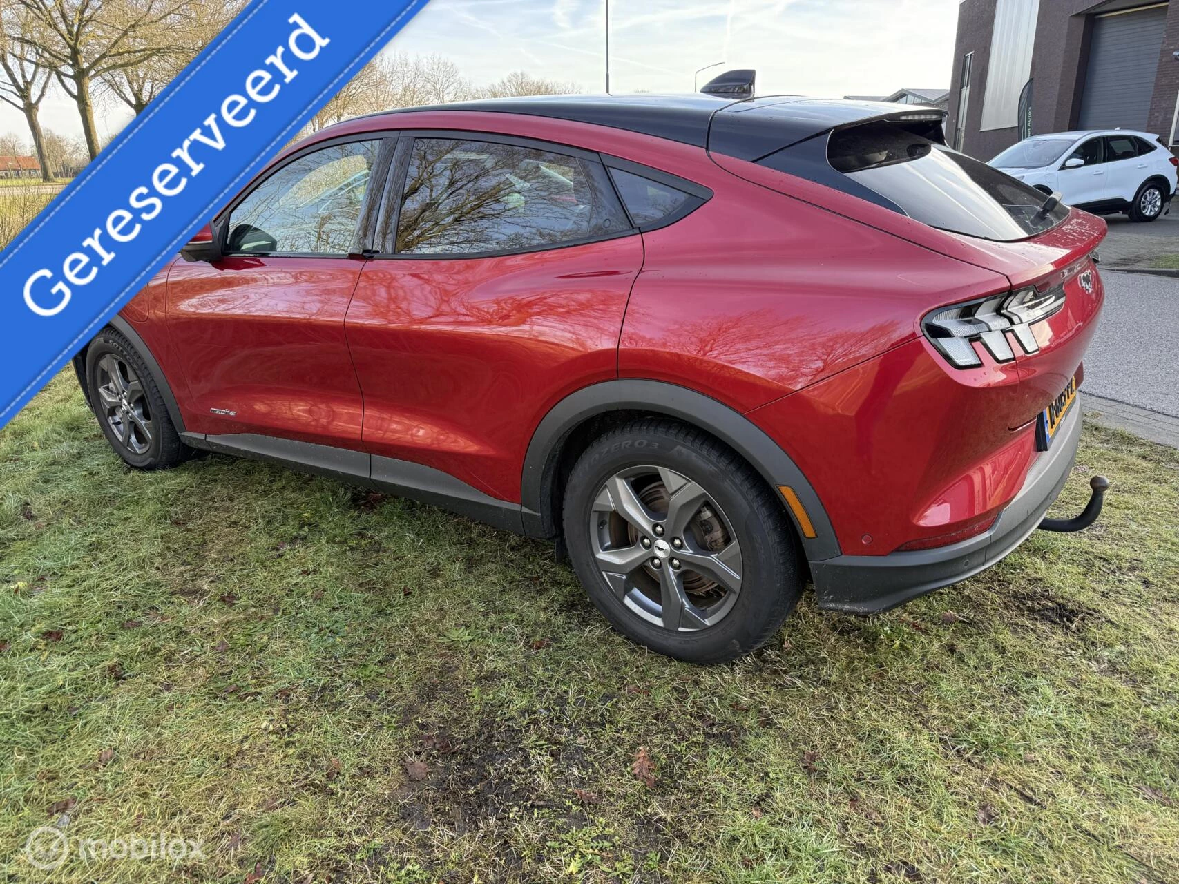 Hoofdafbeelding Ford Mustang Mach-E