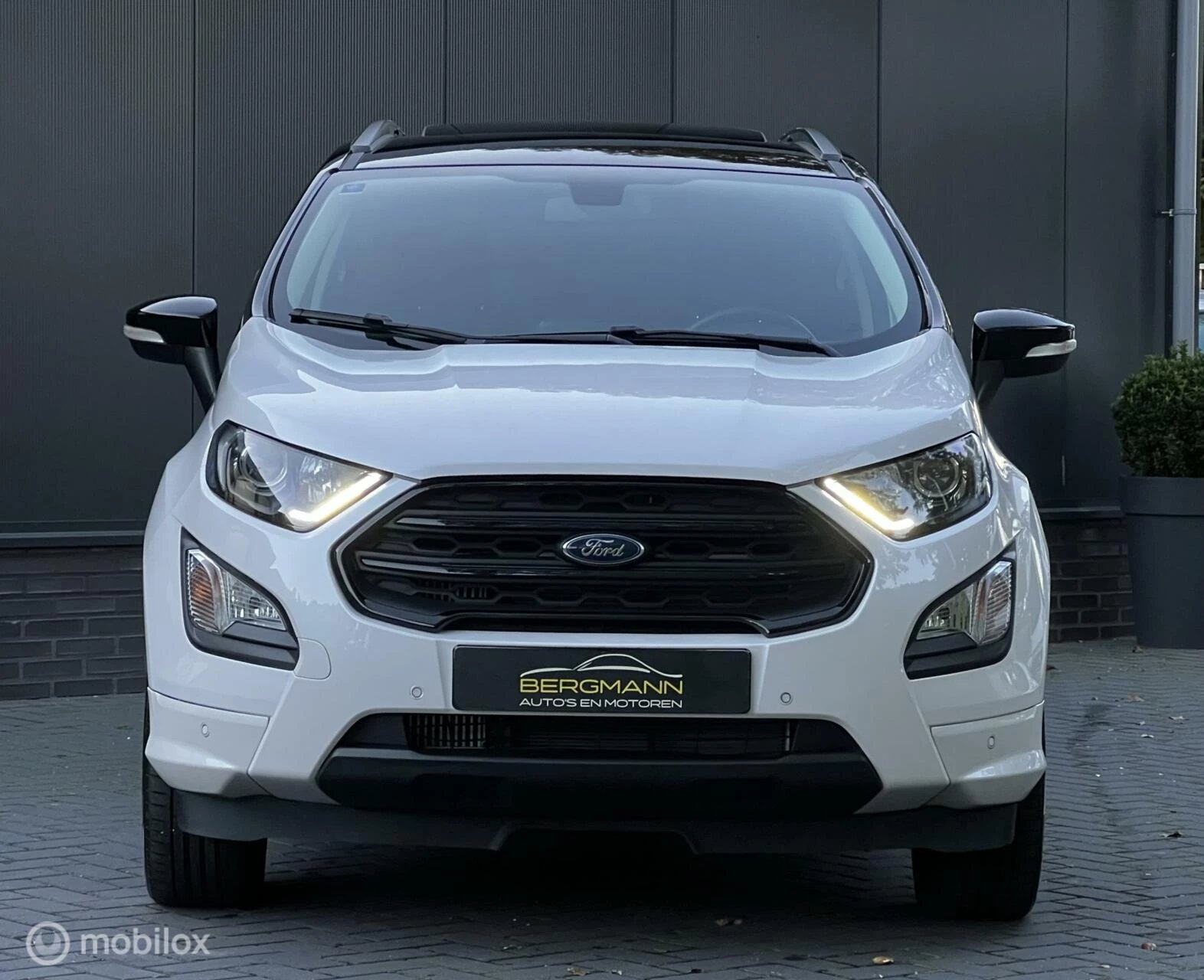 Hoofdafbeelding Ford EcoSport