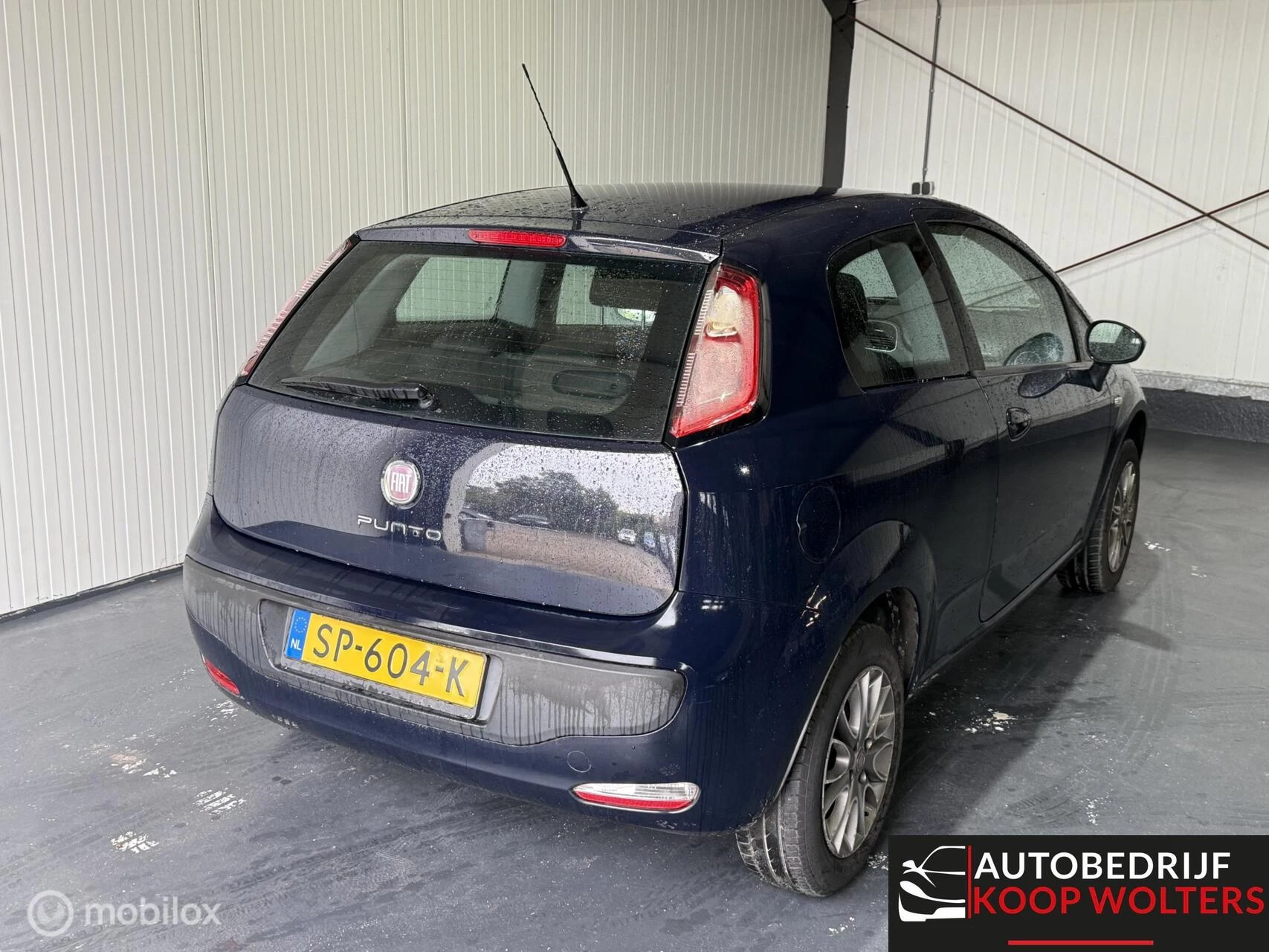 Hoofdafbeelding Fiat Punto