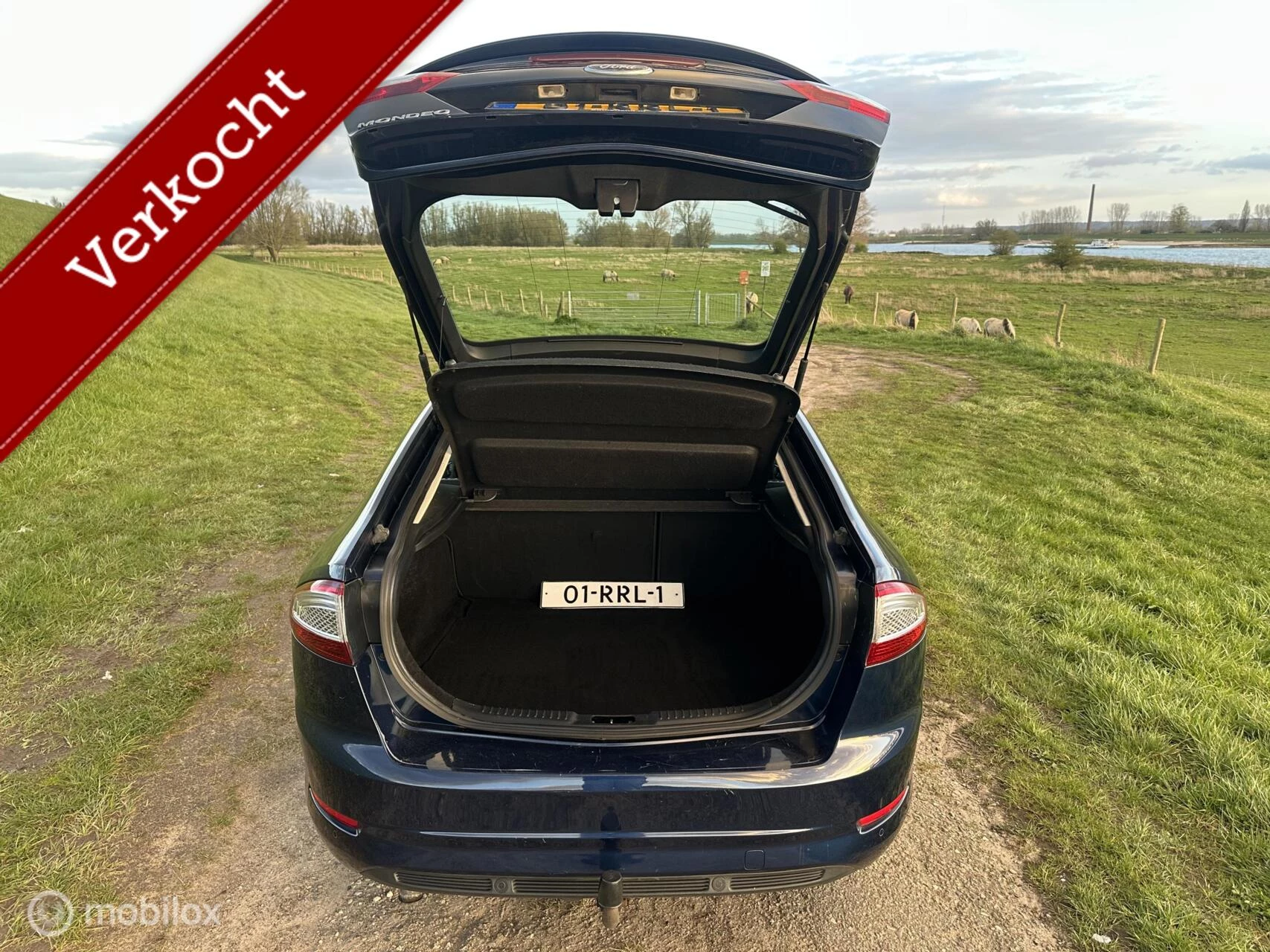 Hoofdafbeelding Ford Mondeo