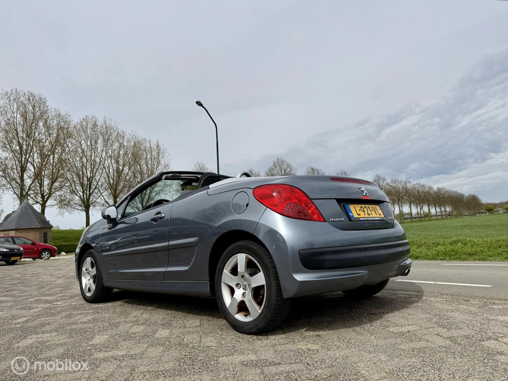 Hoofdafbeelding Peugeot 207
