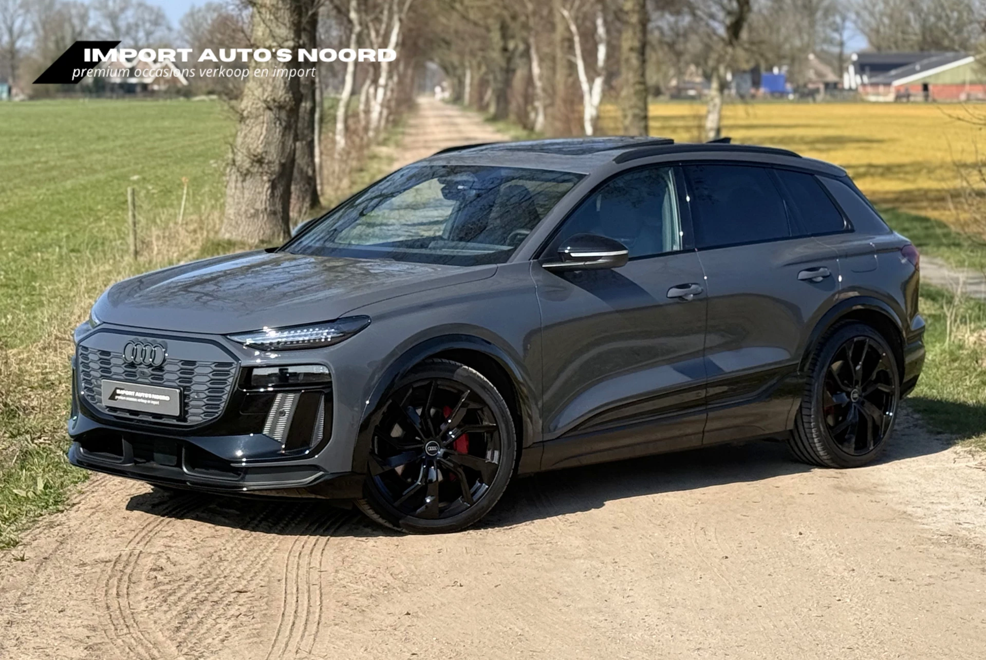 Hoofdafbeelding Audi Q6 e-tron