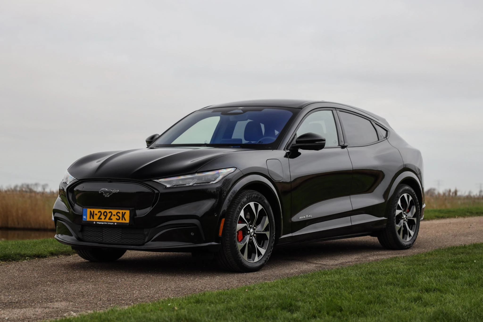 Hoofdafbeelding Ford Mustang Mach-E