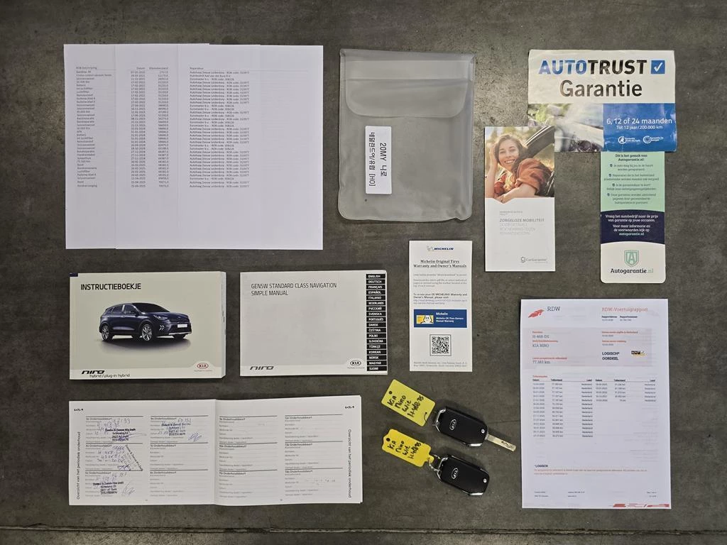 Hoofdafbeelding Kia Niro