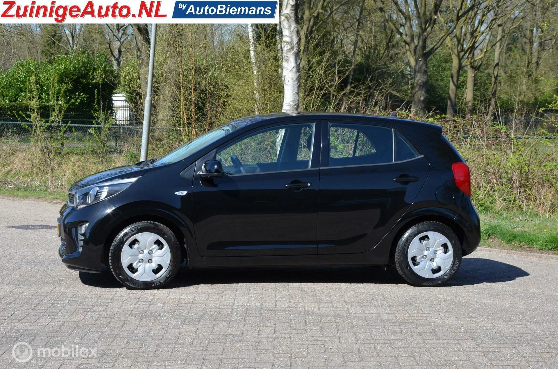 Hoofdafbeelding Kia Picanto