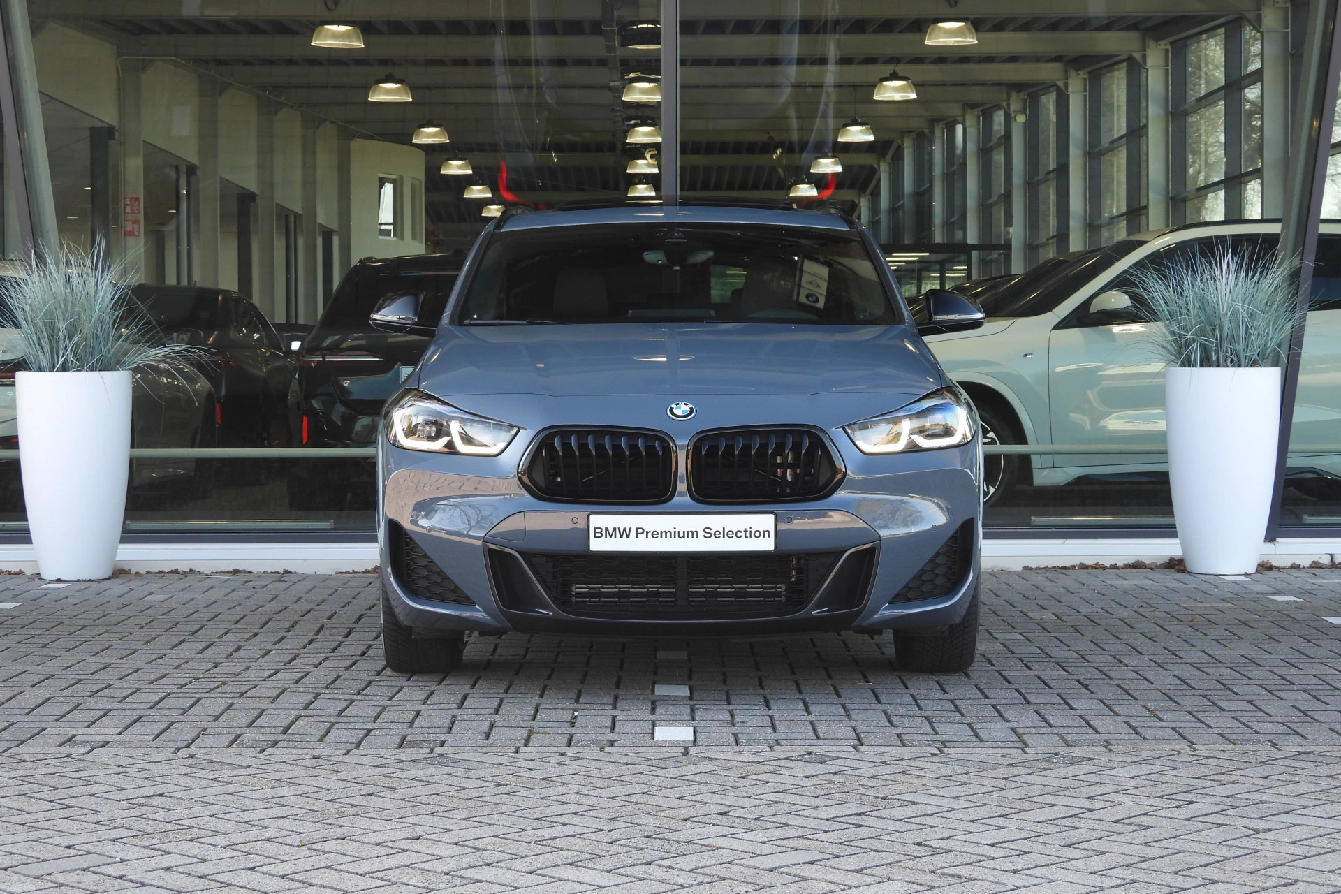 Hoofdafbeelding BMW X2