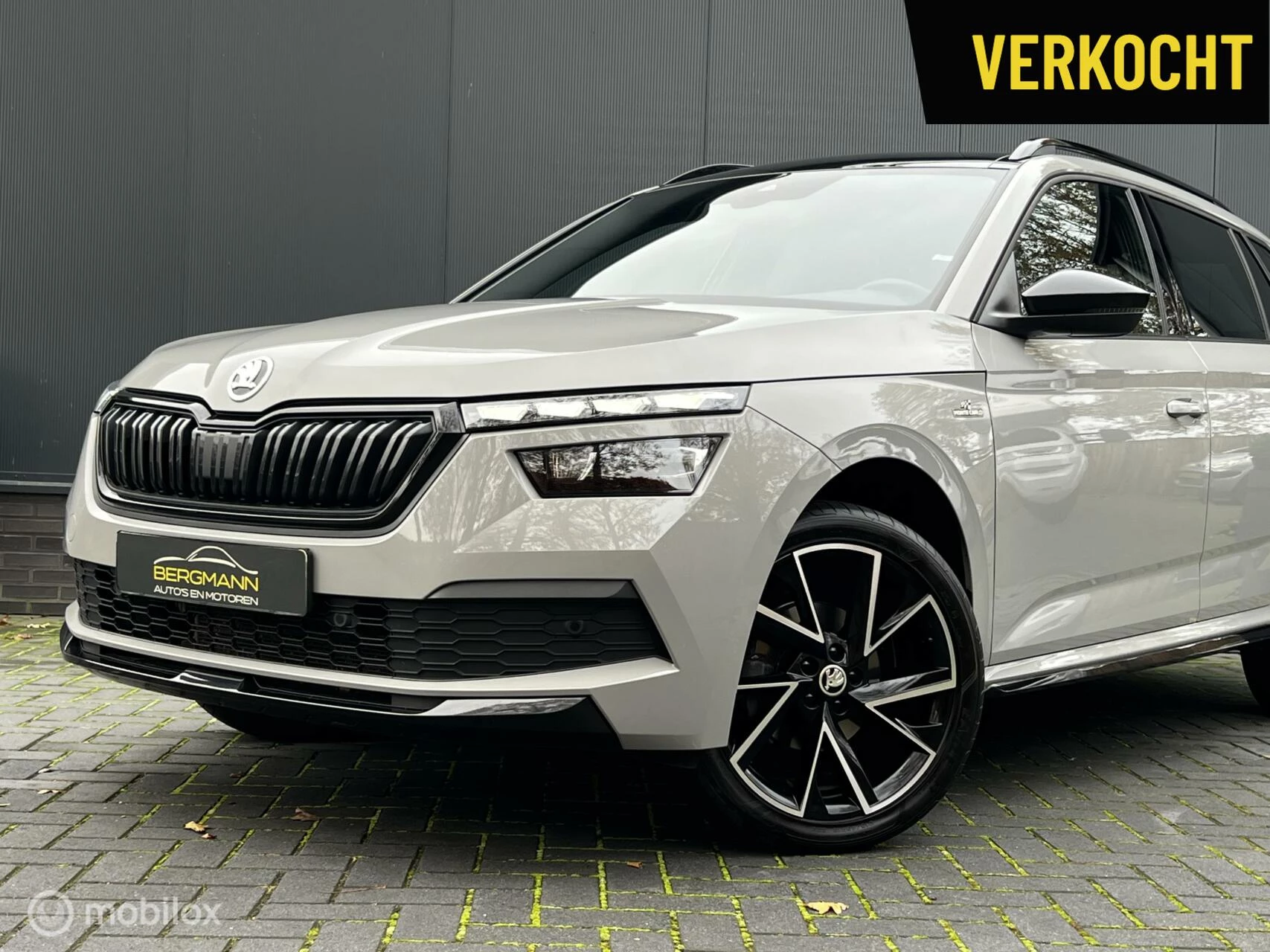 Hoofdafbeelding Škoda Kamiq