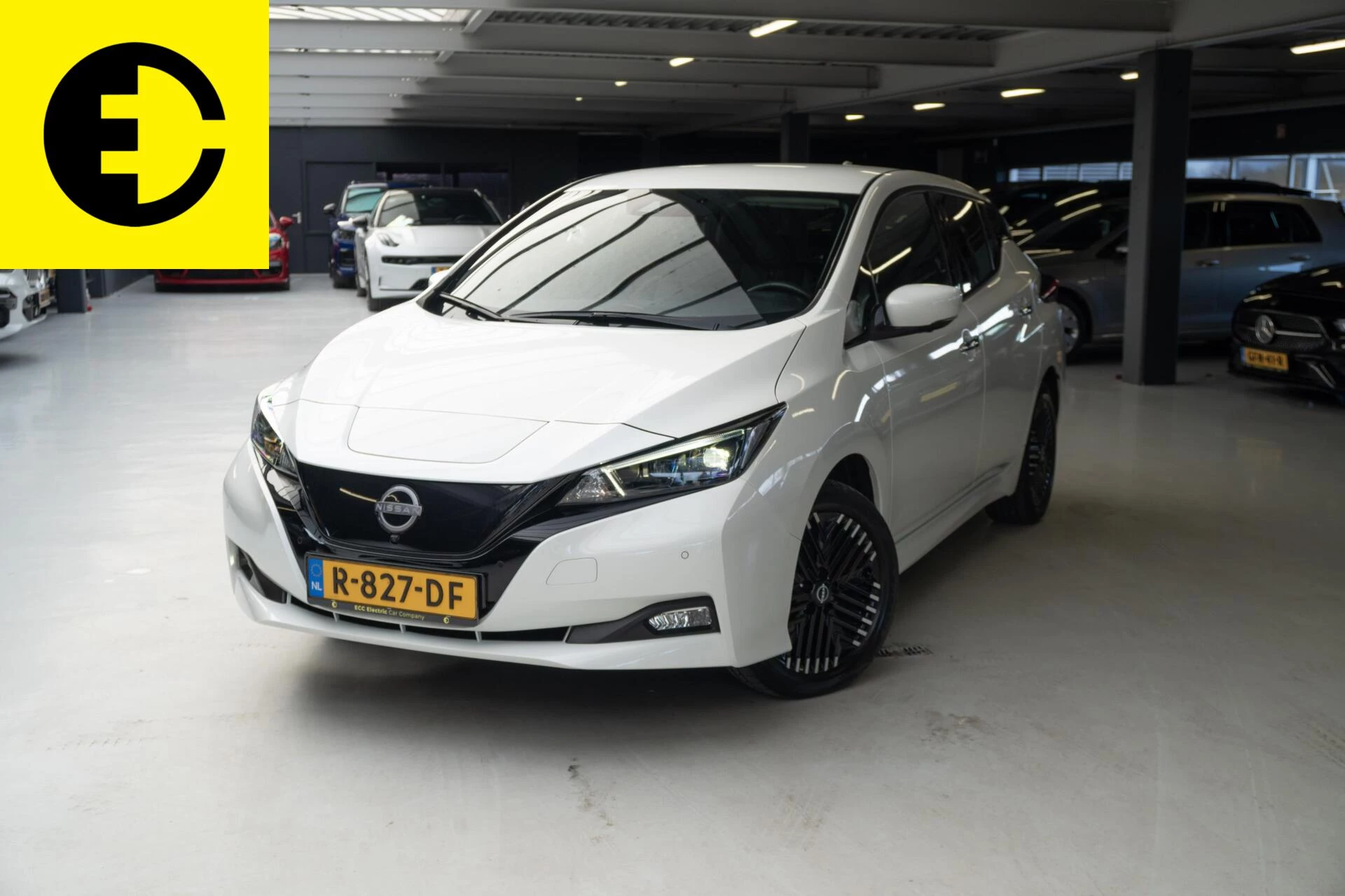 Hoofdafbeelding Nissan Leaf