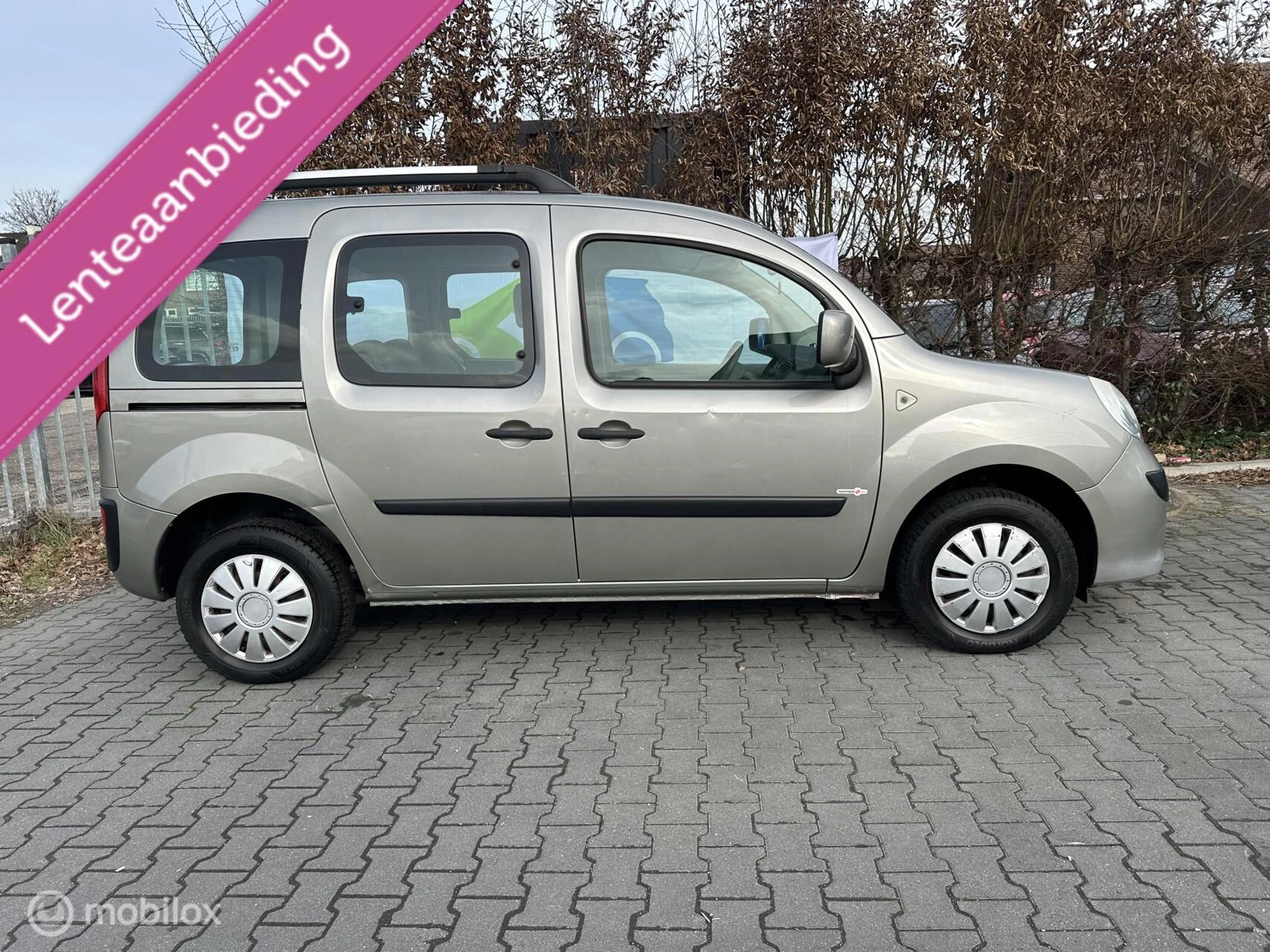Hoofdafbeelding Renault Kangoo