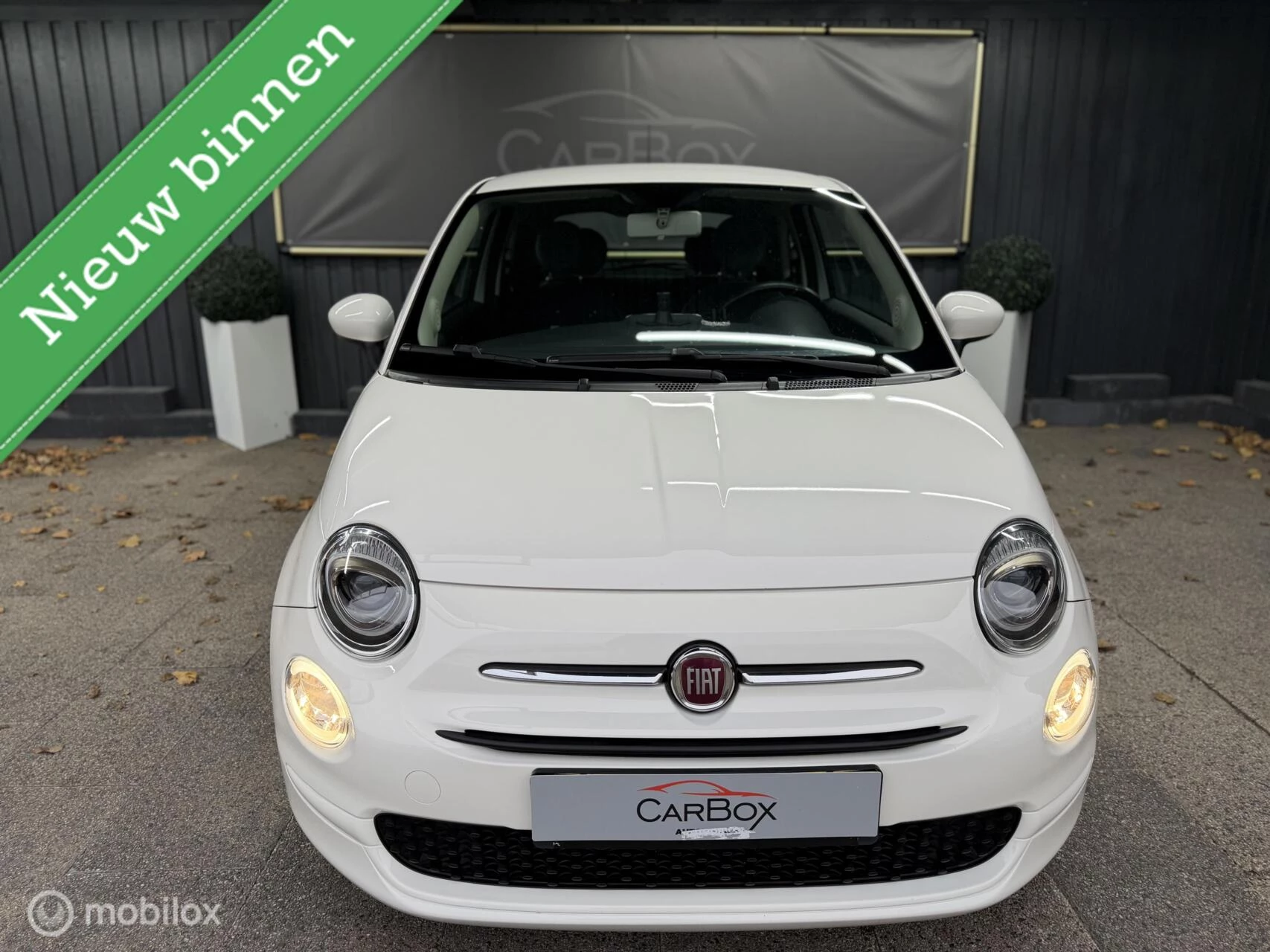 Hoofdafbeelding Fiat 500