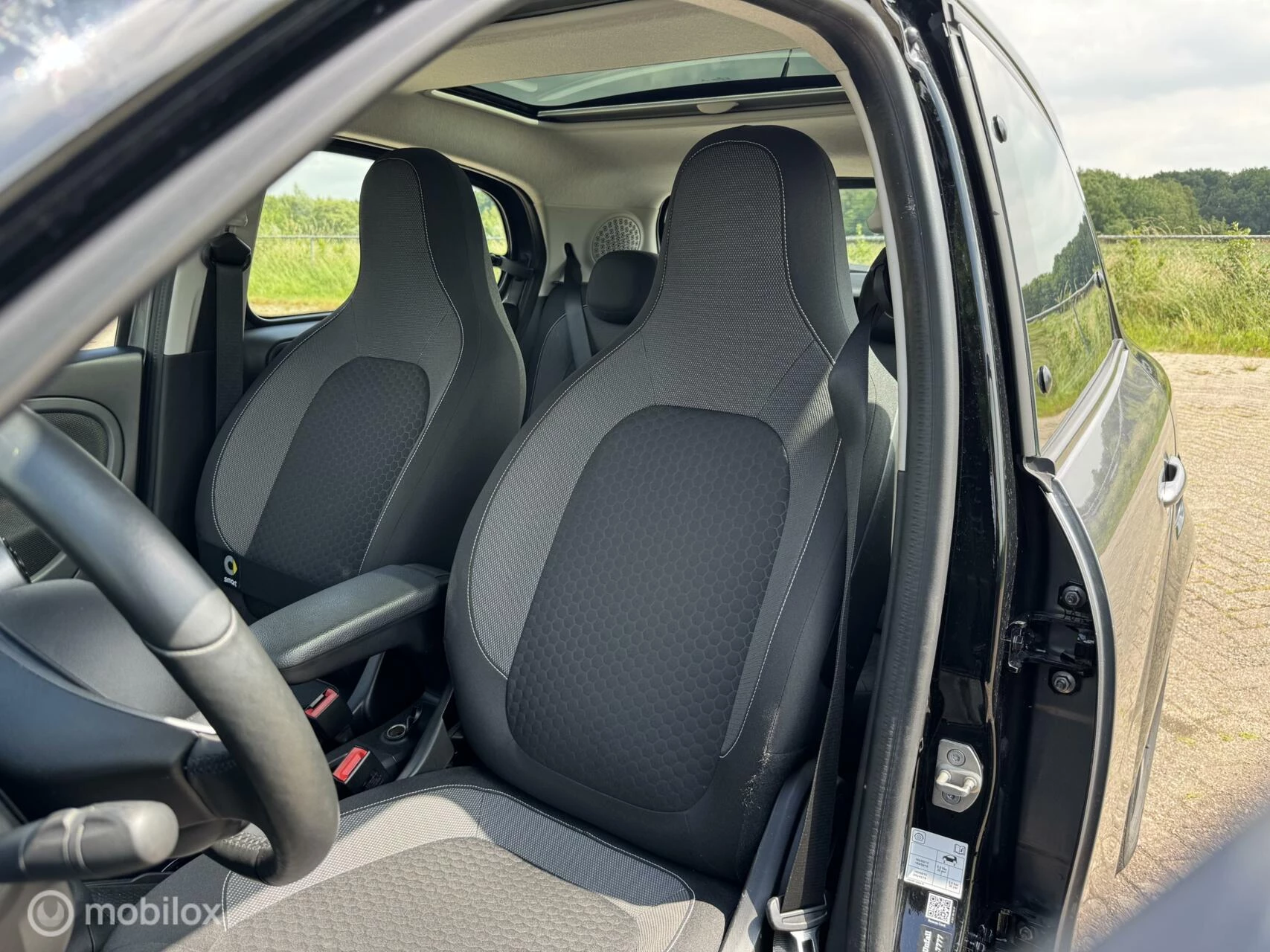 Hoofdafbeelding Smart Forfour