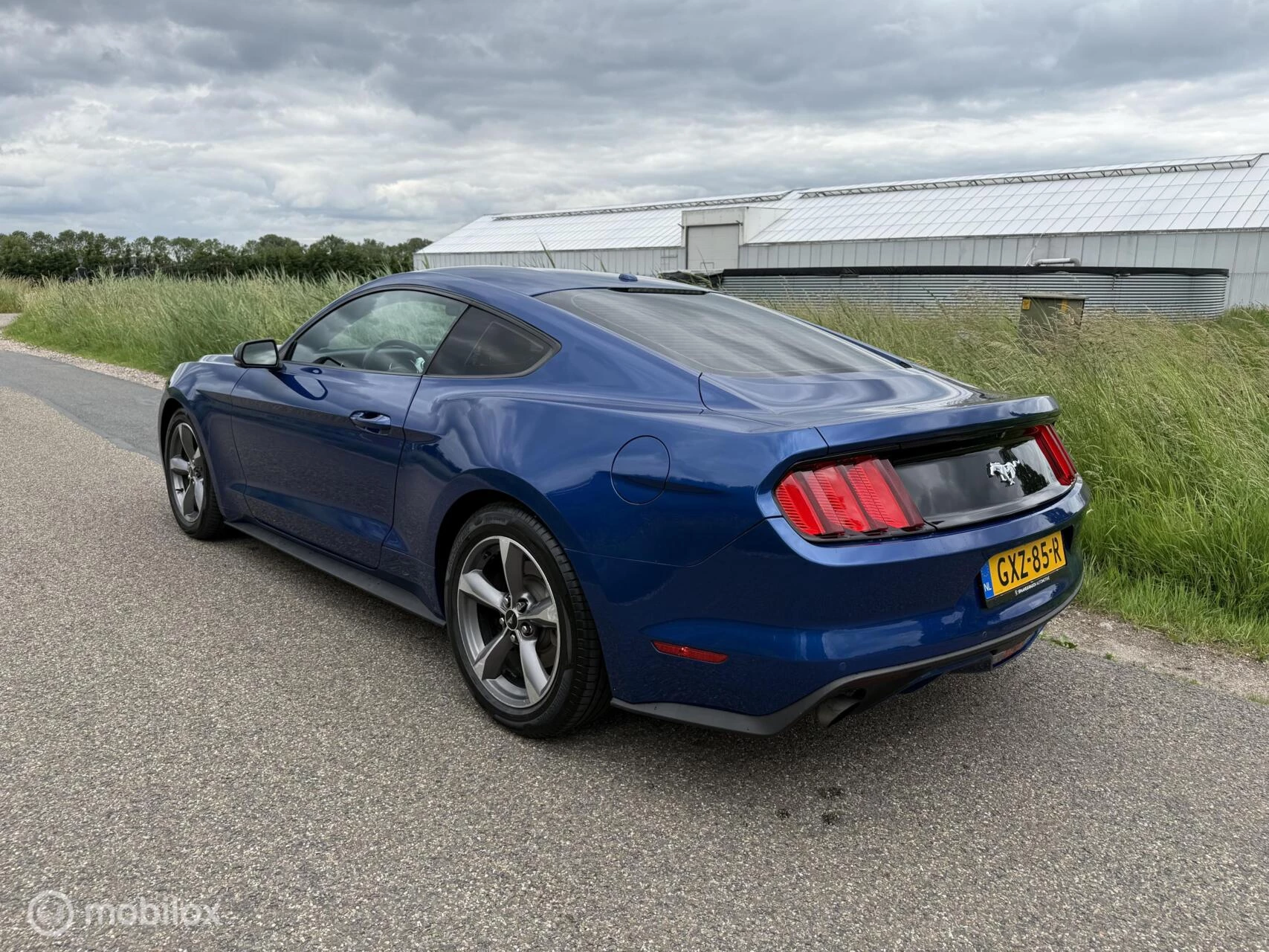 Hoofdafbeelding Ford Mustang