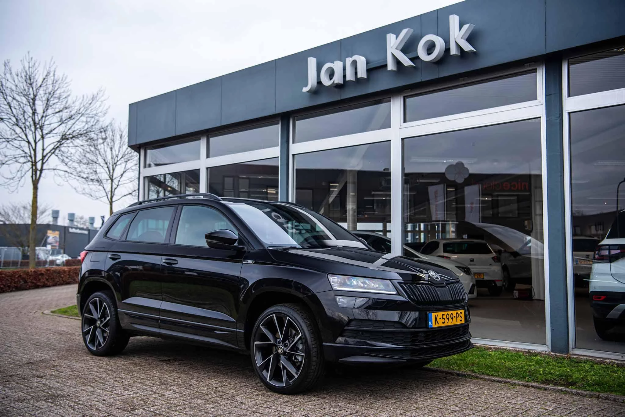 Hoofdafbeelding Škoda Karoq