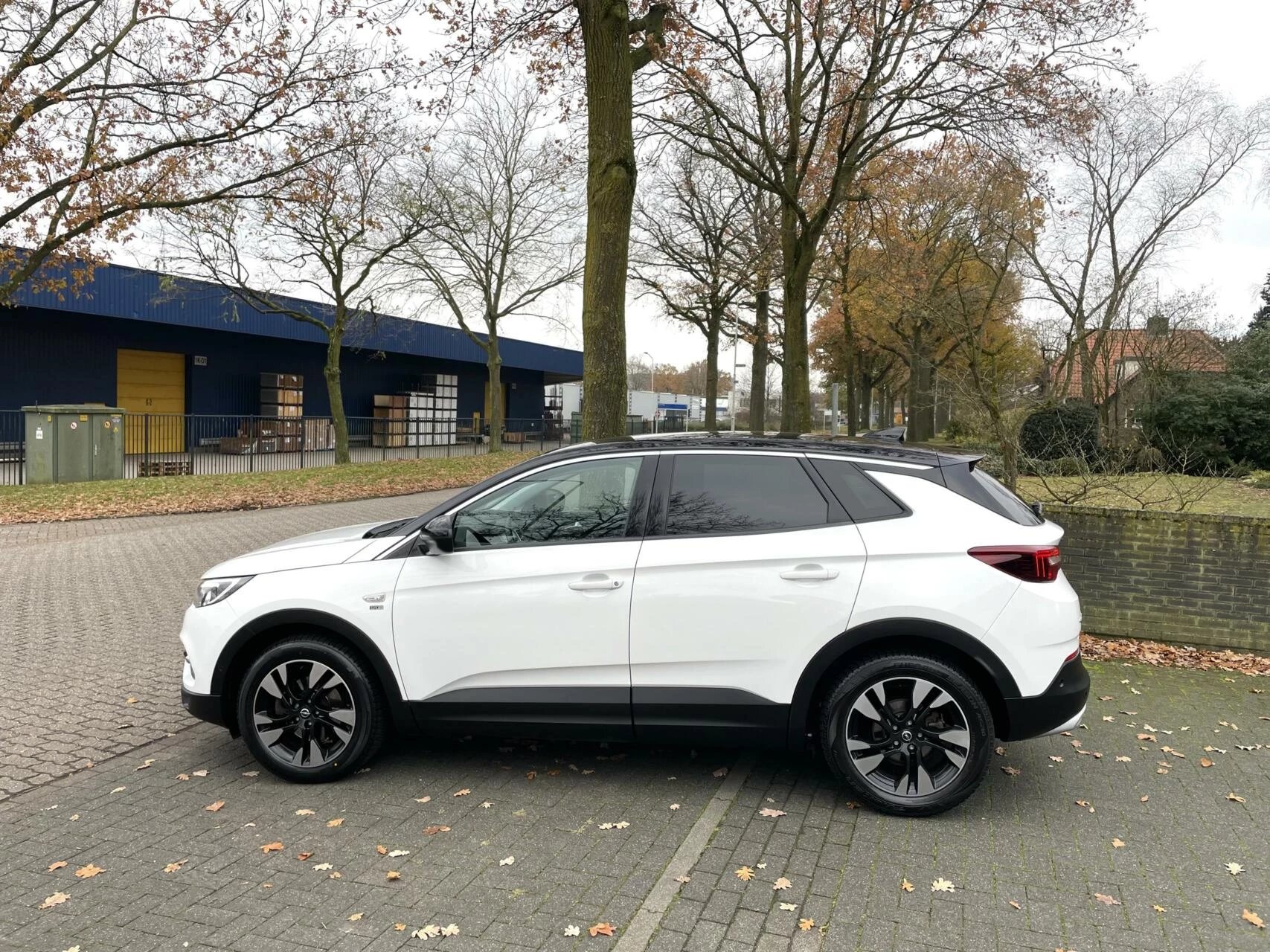 Hoofdafbeelding Opel Grandland X