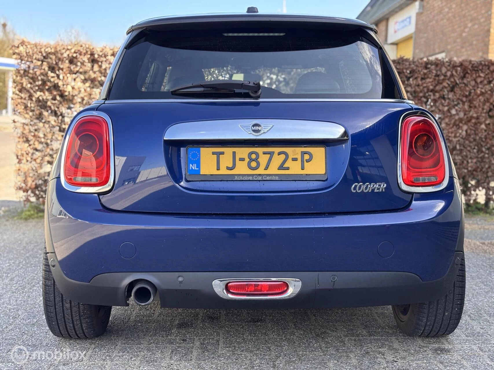 Hoofdafbeelding MINI Cooper