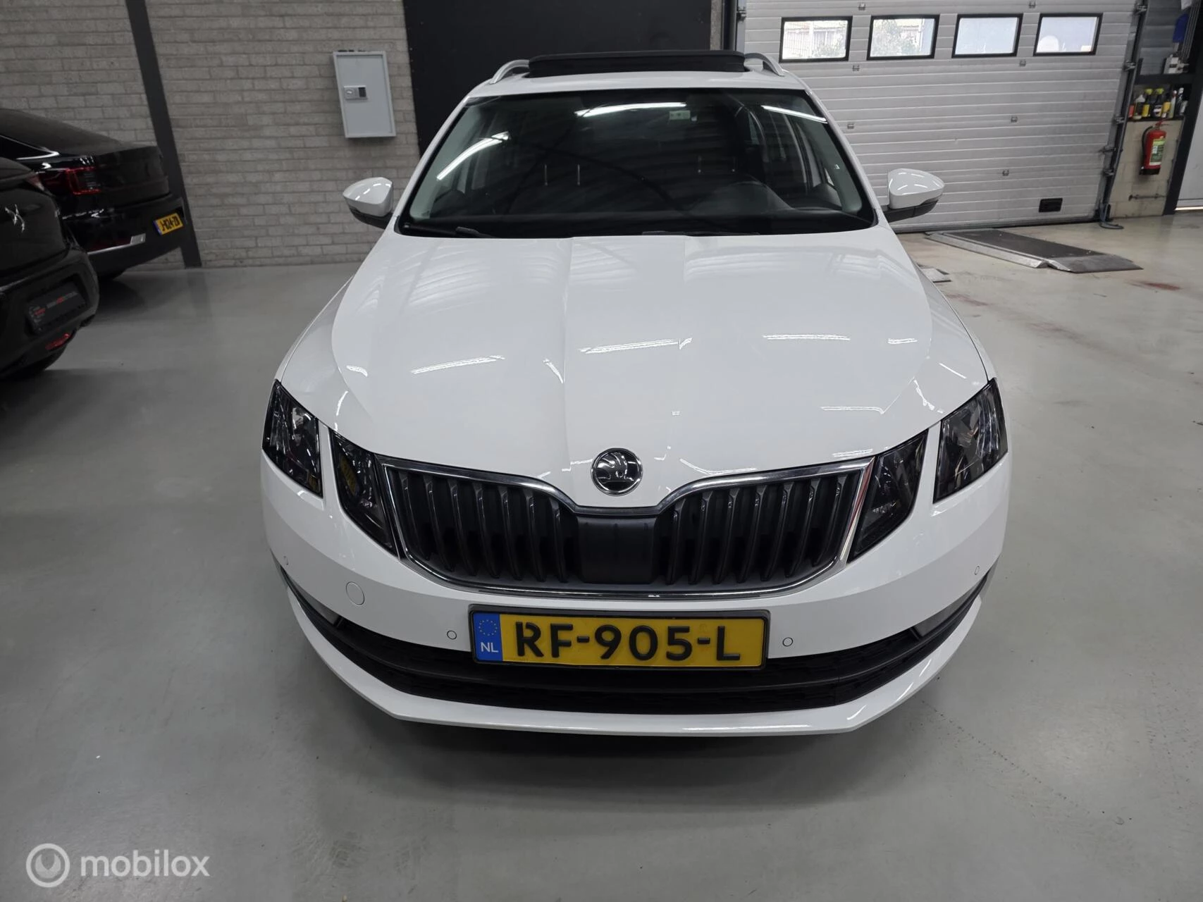 Hoofdafbeelding Škoda Octavia