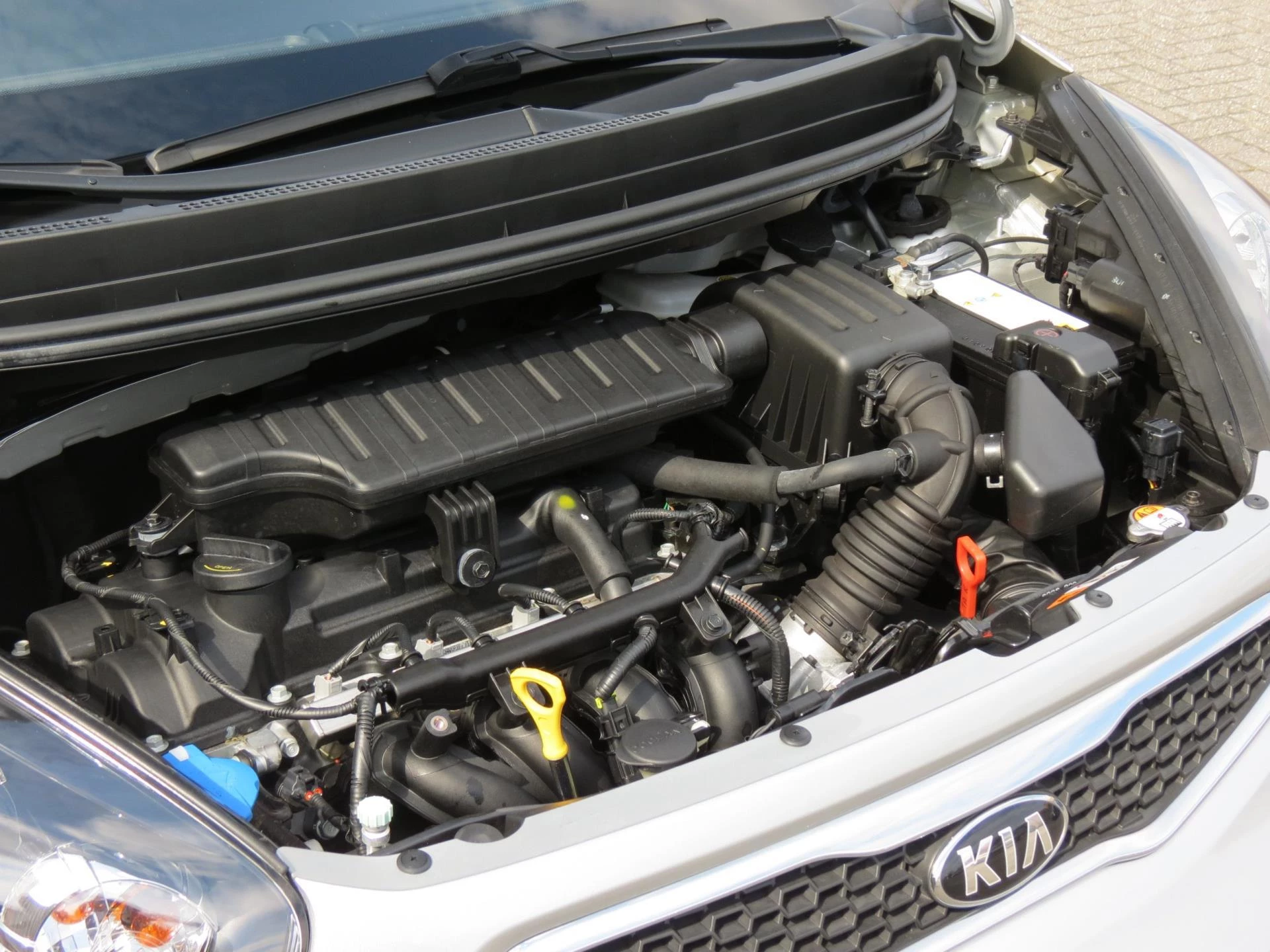 Hoofdafbeelding Kia Picanto