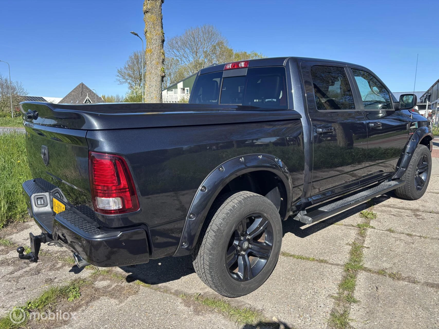 Hoofdafbeelding RAM 1500