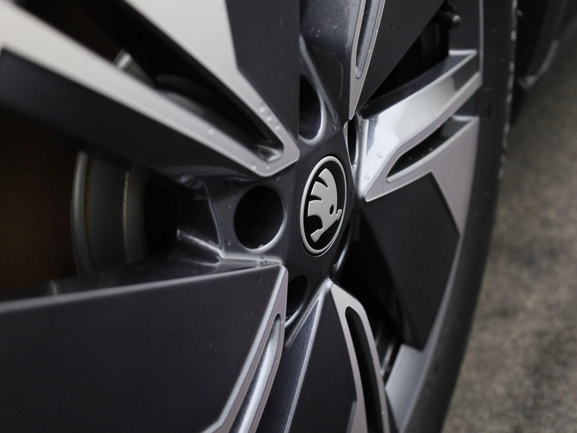 Hoofdafbeelding Škoda Elroq