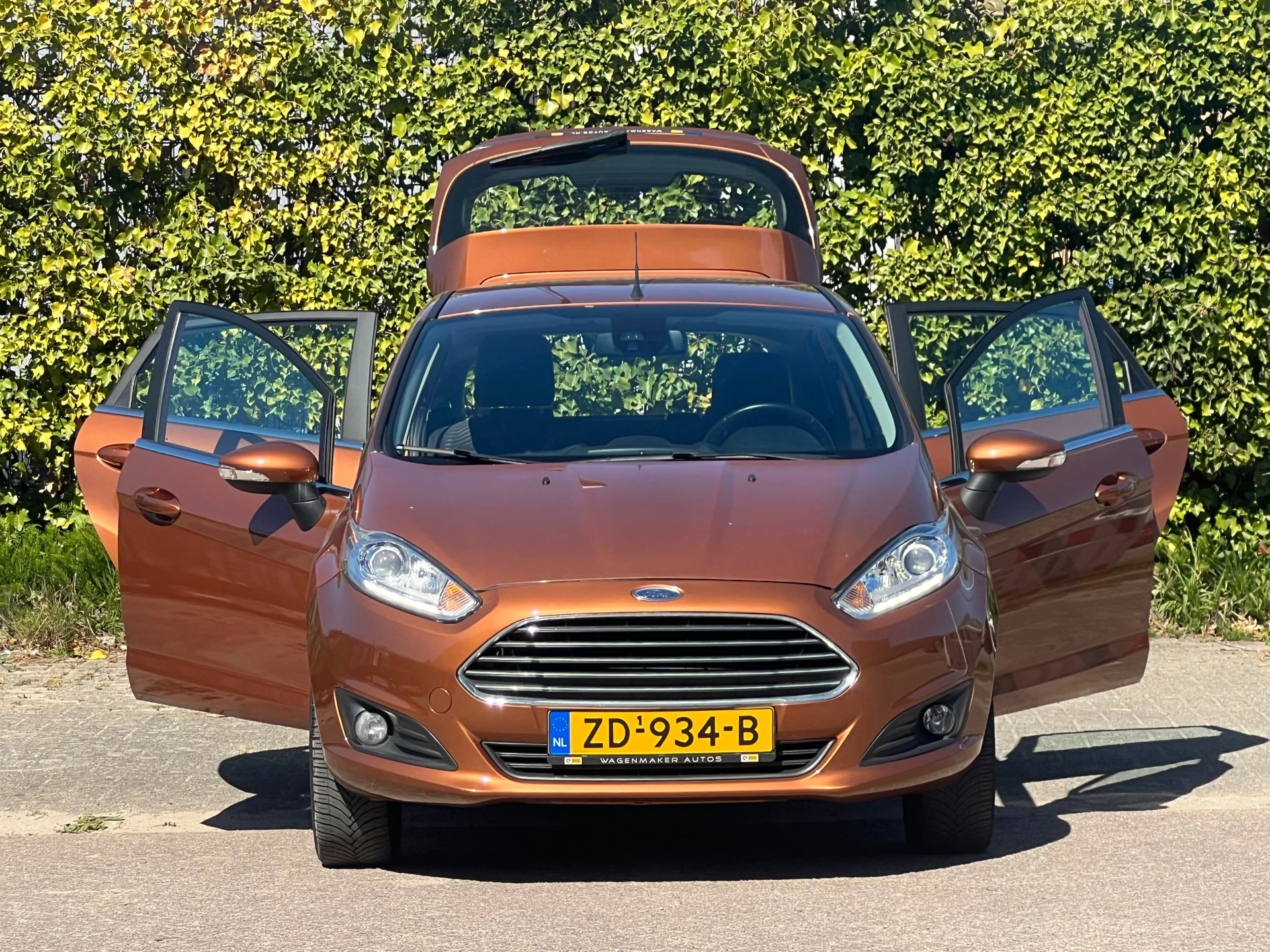 Hoofdafbeelding Ford Fiesta