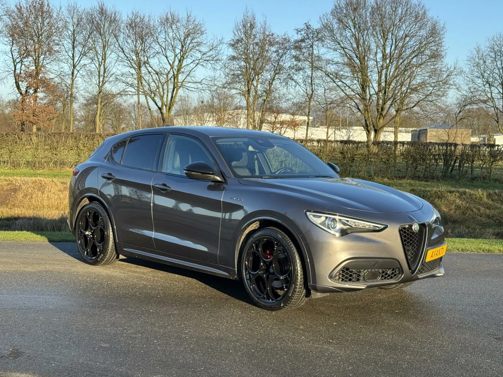 Hoofdafbeelding Alfa Romeo Stelvio