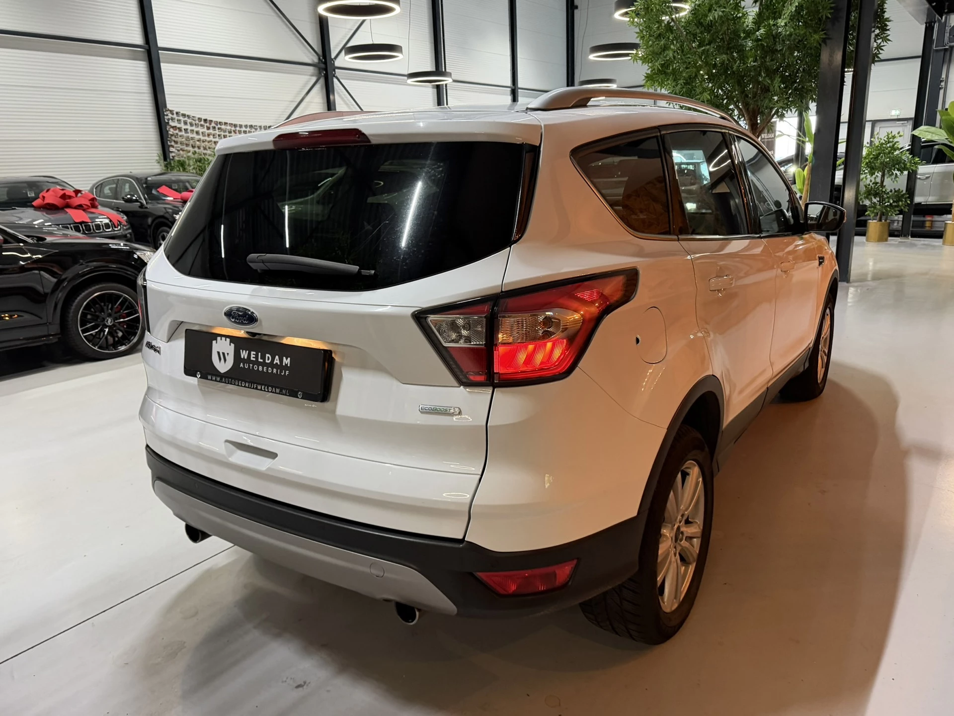 Hoofdafbeelding Ford Kuga
