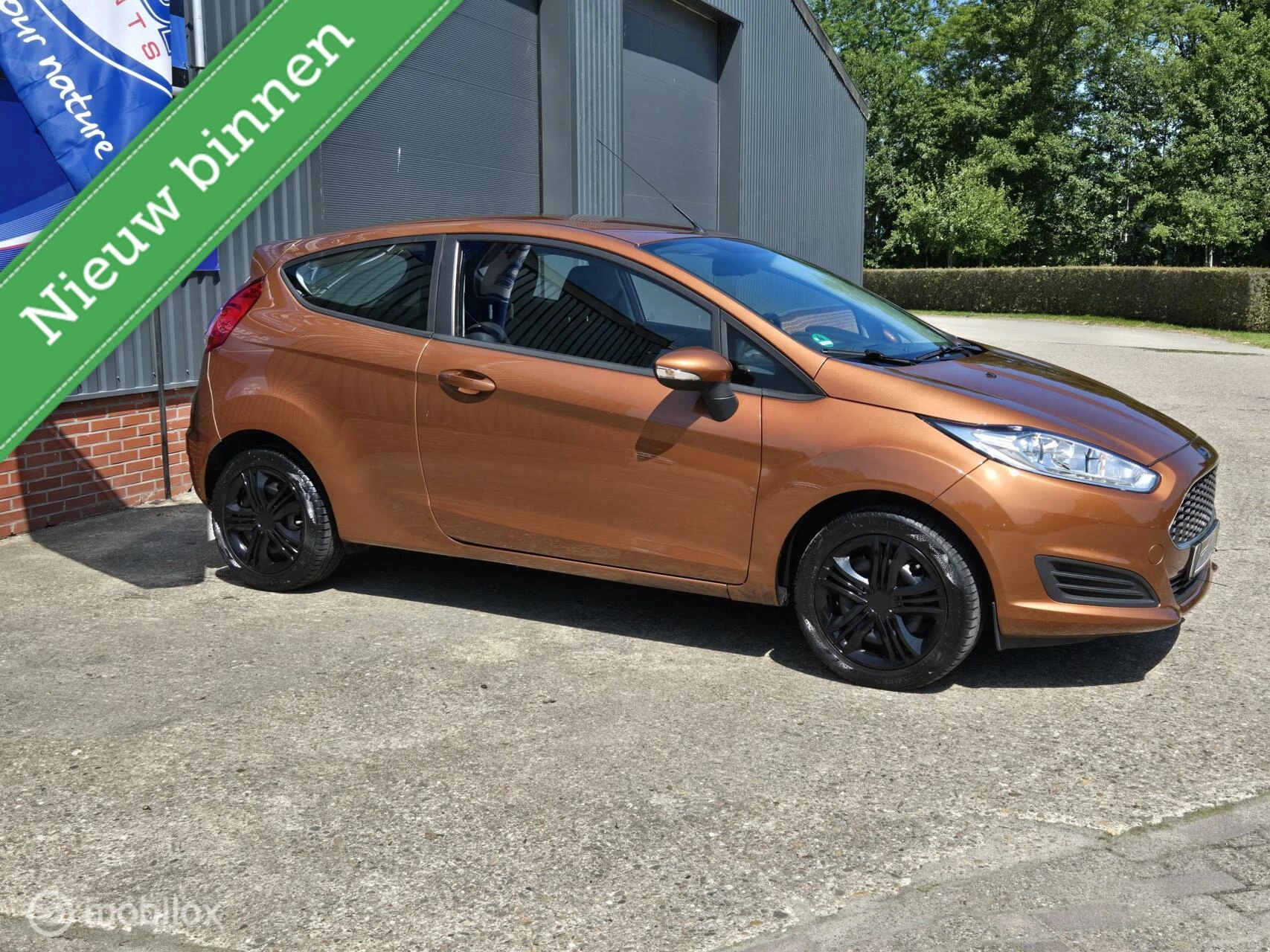 Hoofdafbeelding Ford Fiesta