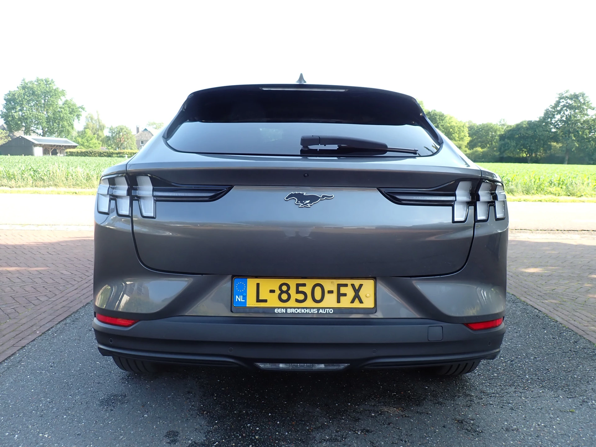 Hoofdafbeelding Ford Mustang Mach-E