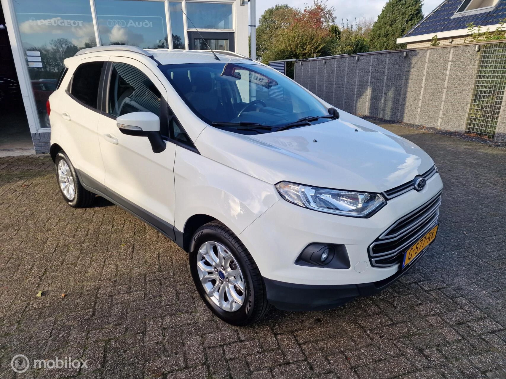 Hoofdafbeelding Ford EcoSport