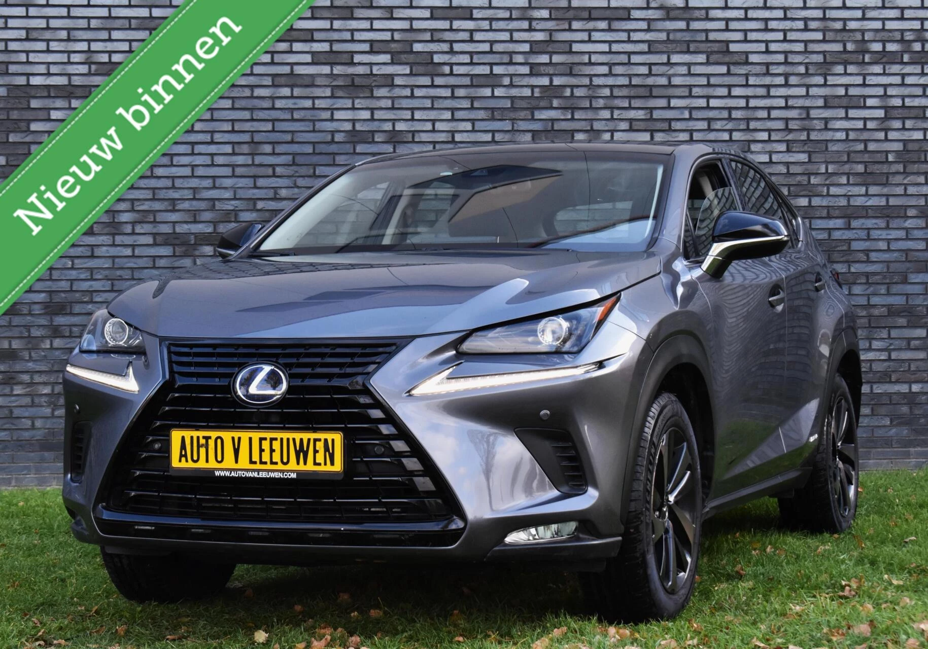 Hoofdafbeelding Lexus NX