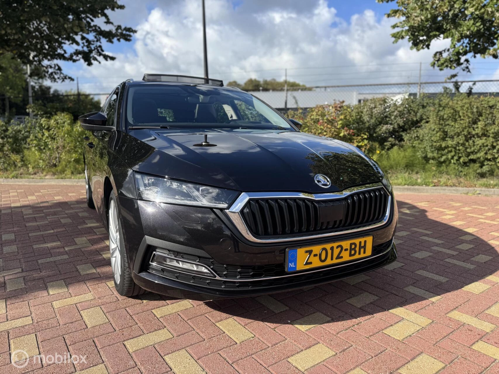 Hoofdafbeelding Škoda Octavia