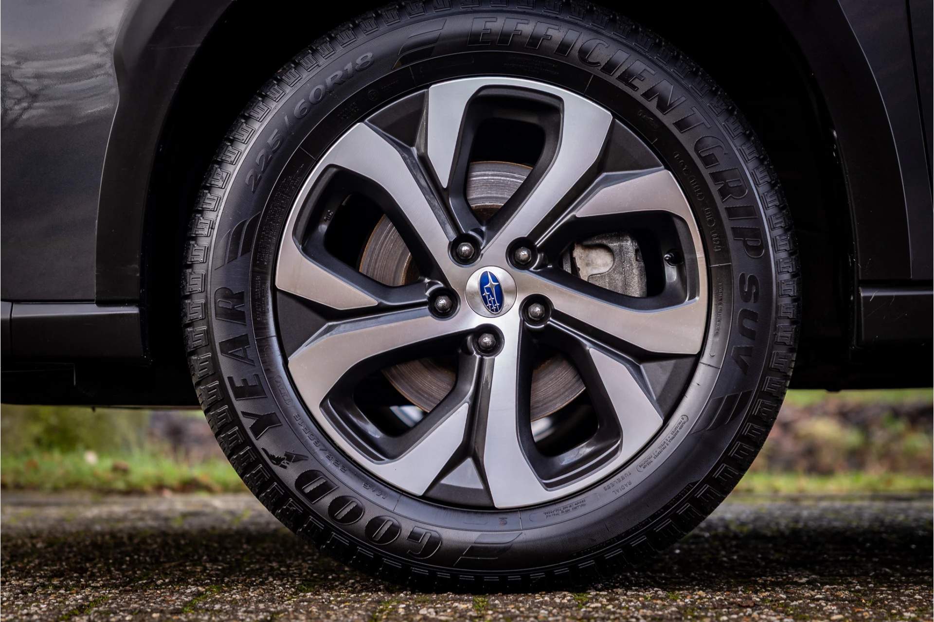 Hoofdafbeelding Subaru Outback