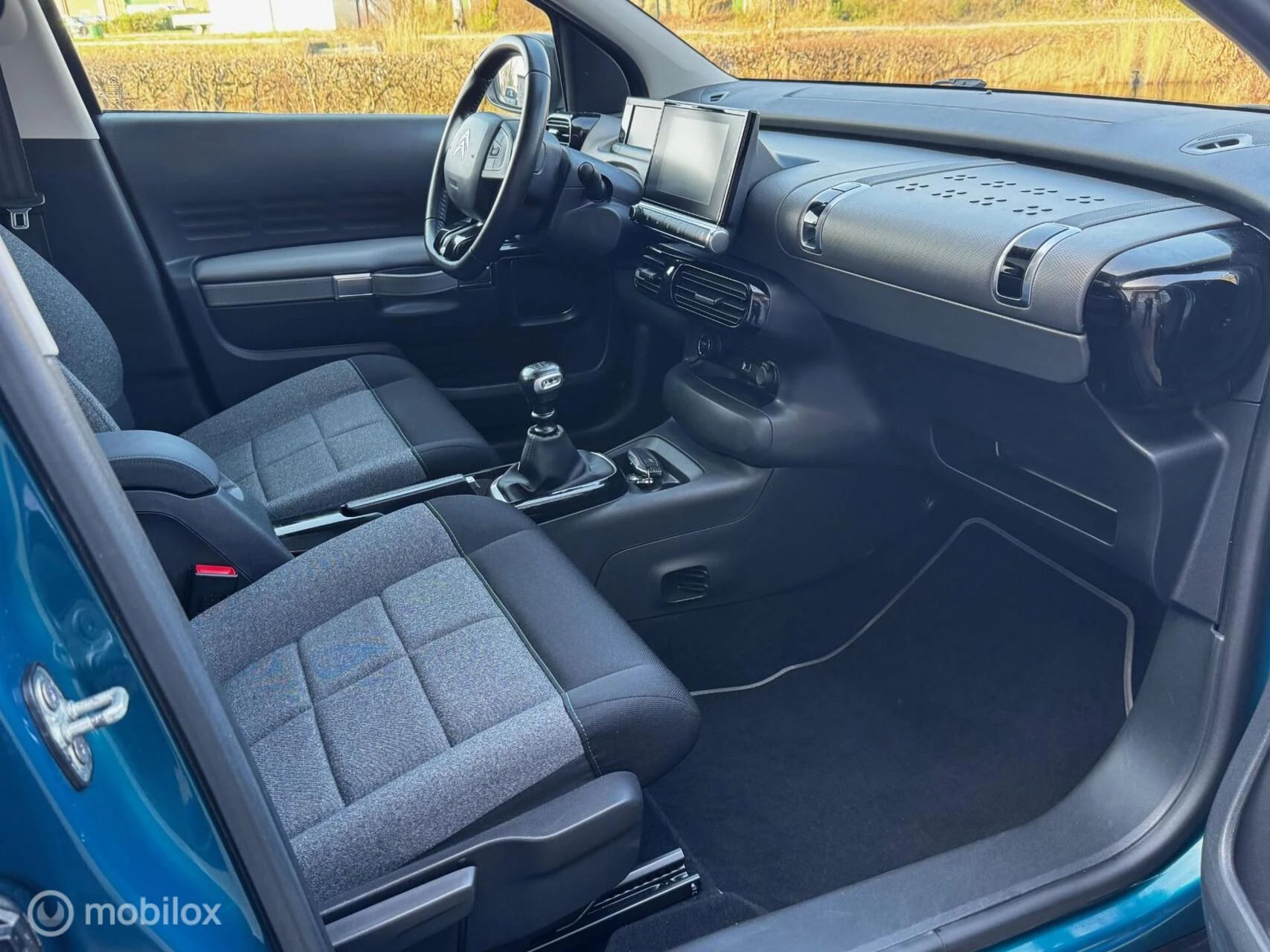 Hoofdafbeelding Citroën C4 Cactus