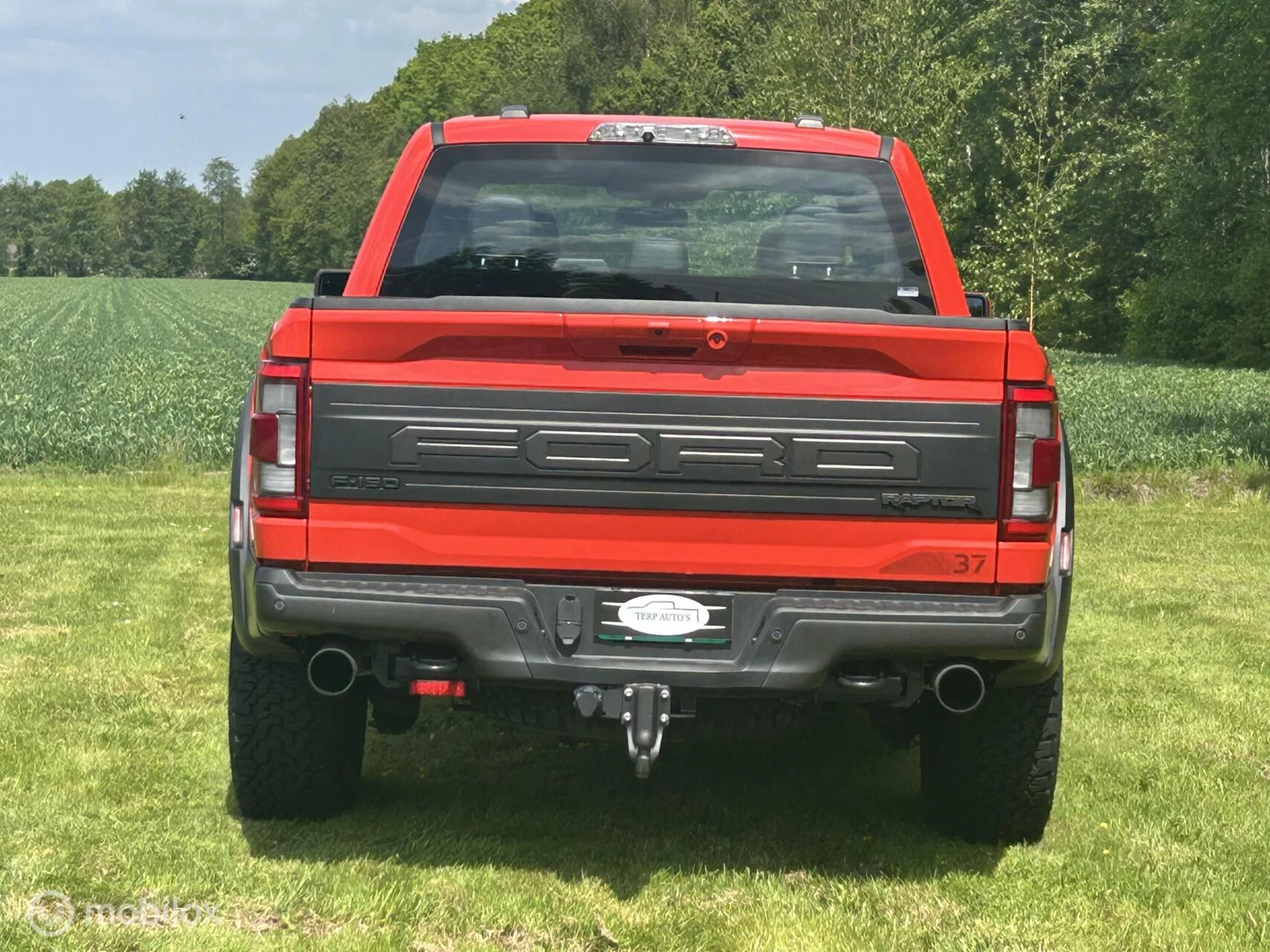 Hoofdafbeelding Ford F-150