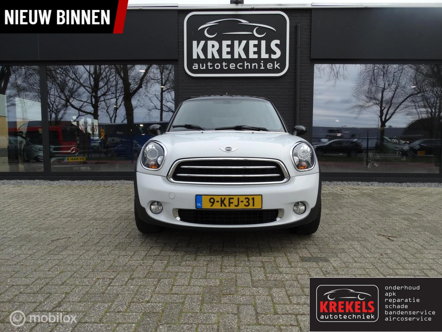 Hoofdafbeelding MINI Paceman