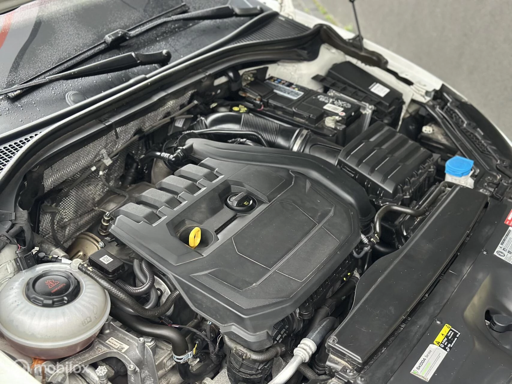 Hoofdafbeelding Škoda Superb