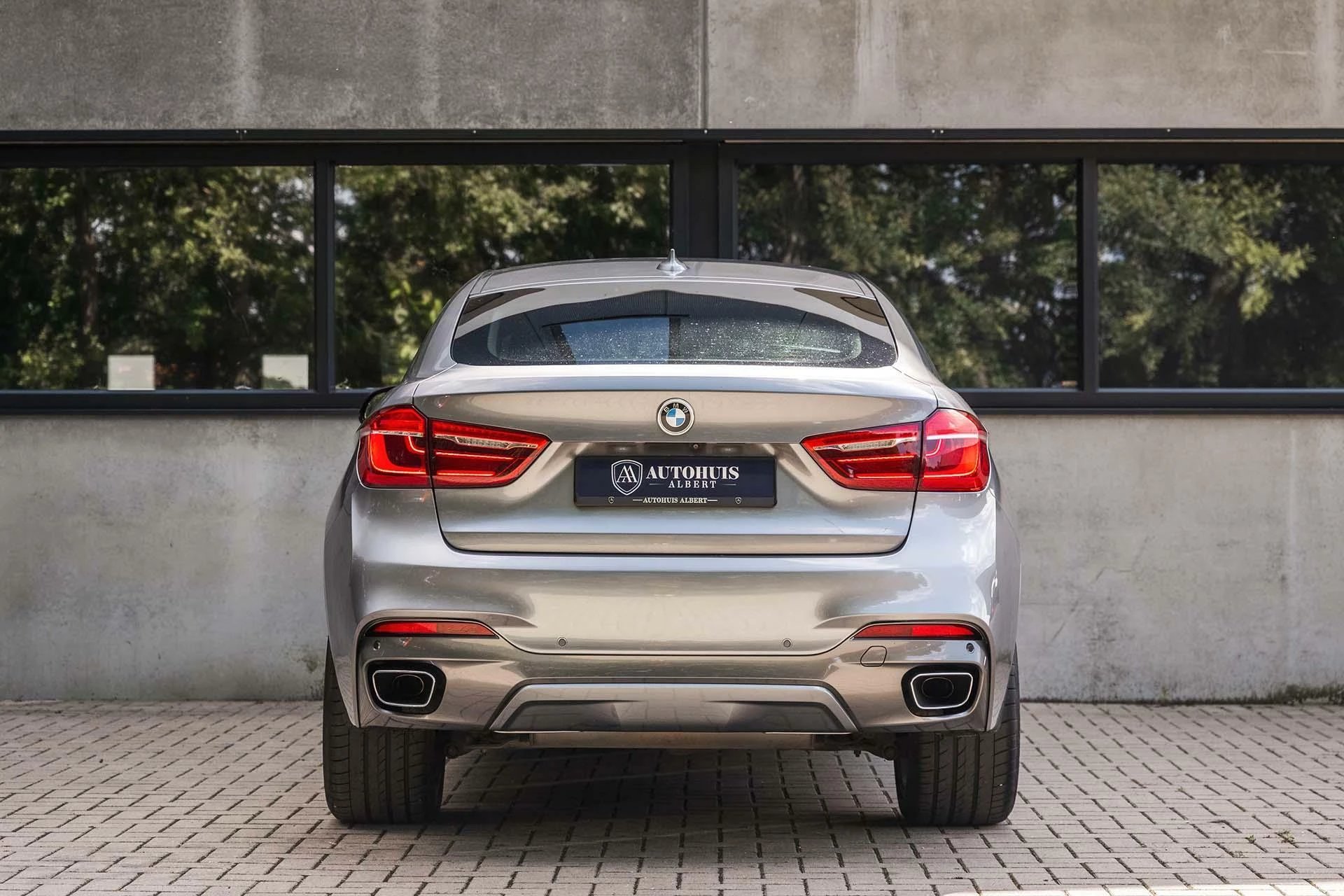 Hoofdafbeelding BMW X6