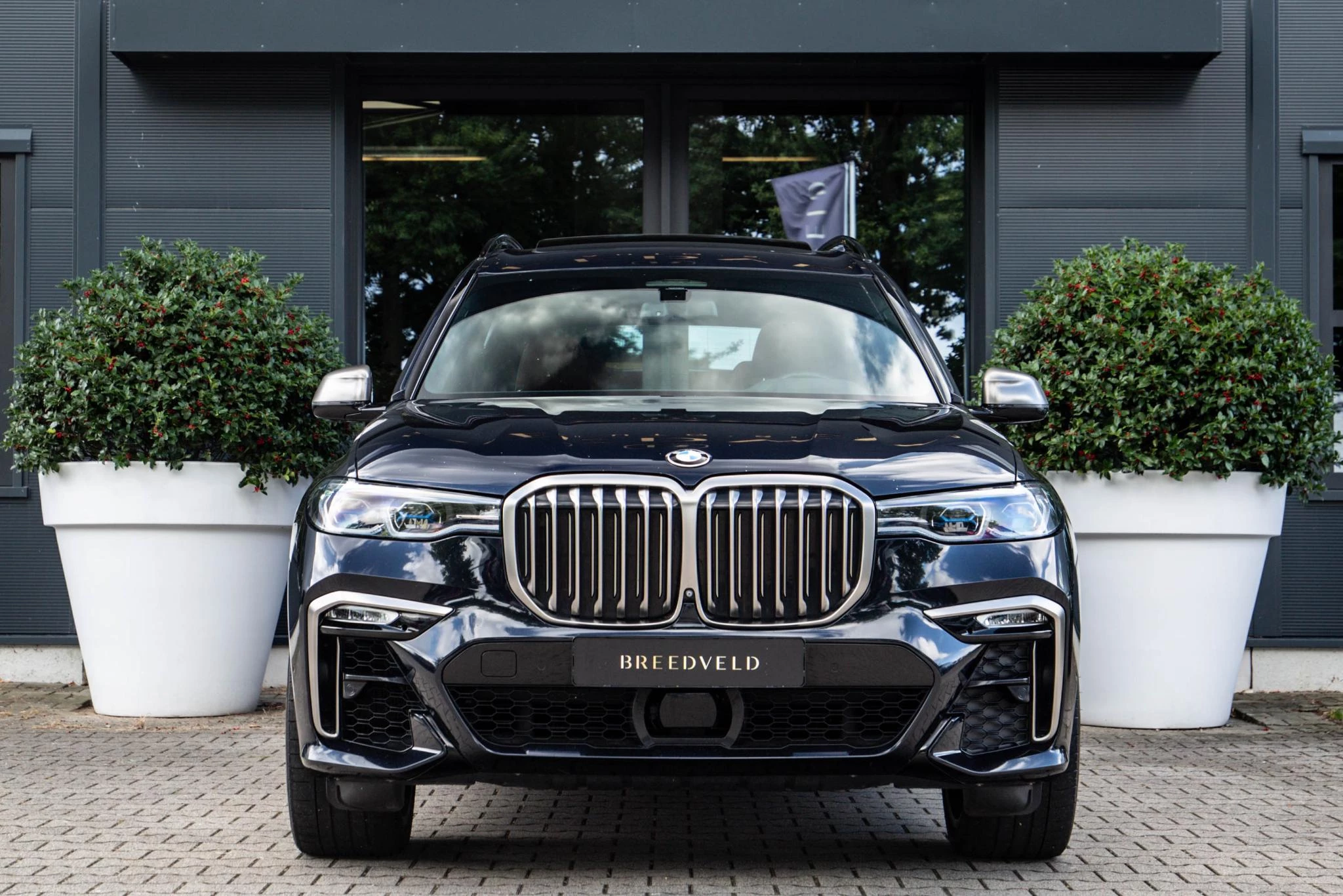 Hoofdafbeelding BMW X7