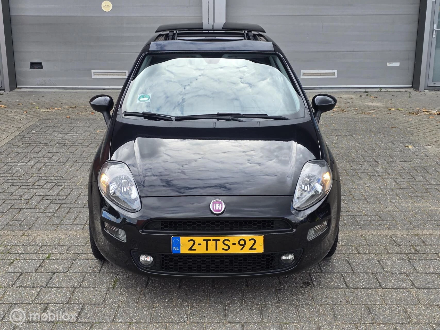Hoofdafbeelding Fiat Punto