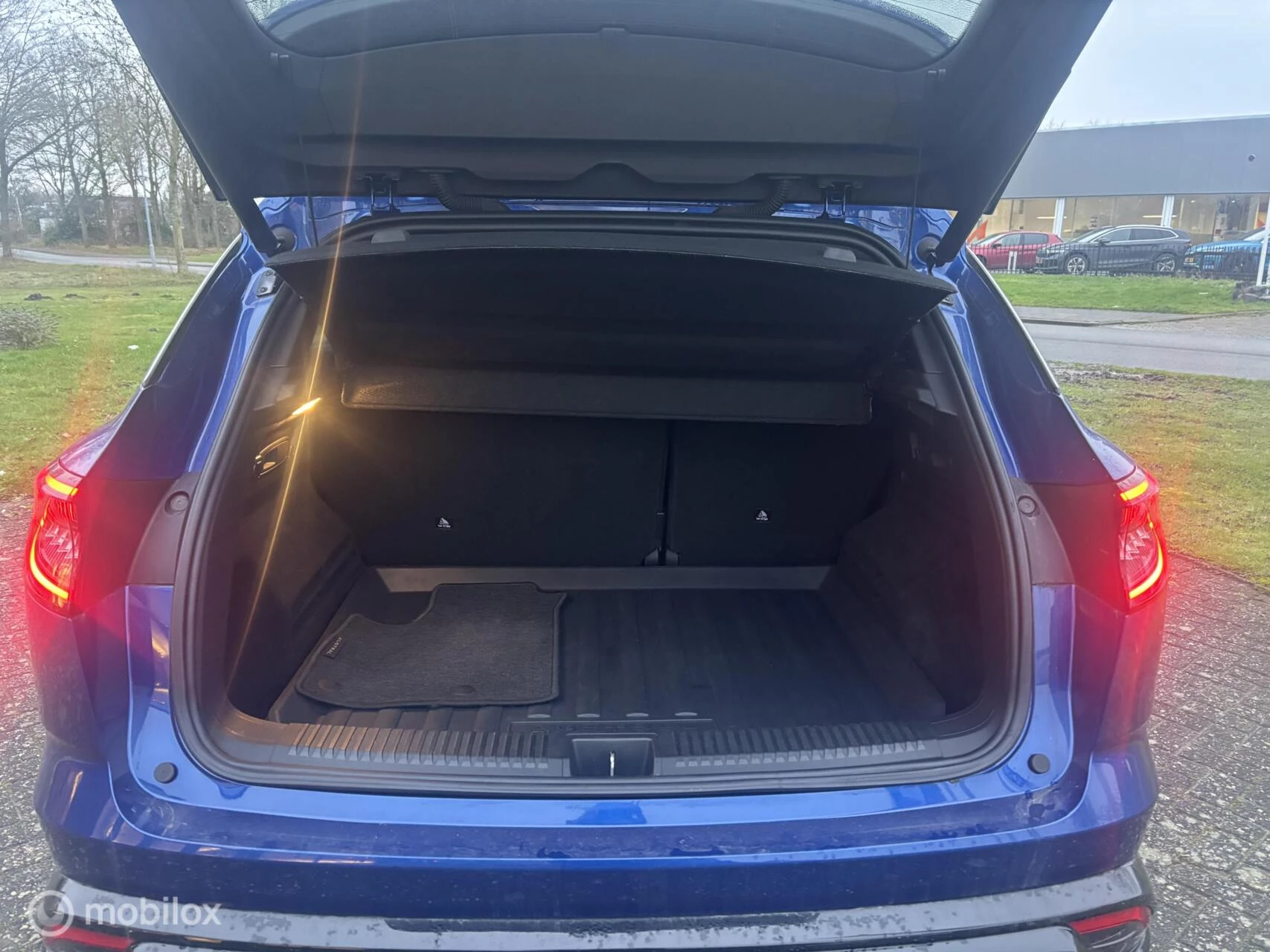 Hoofdafbeelding Renault Austral