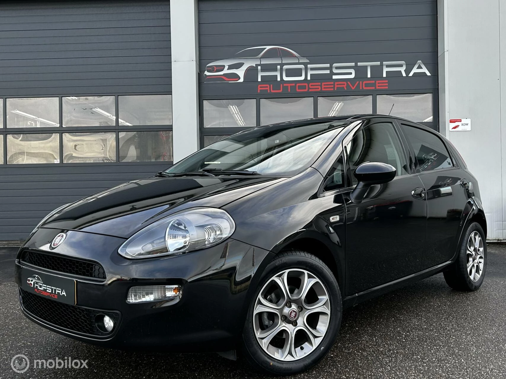 Hoofdafbeelding Fiat Punto