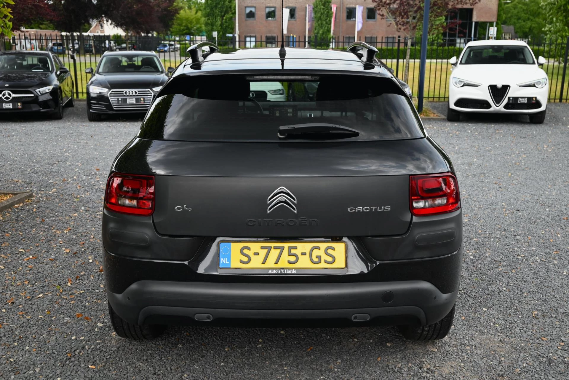 Hoofdafbeelding Citroën C4 Cactus