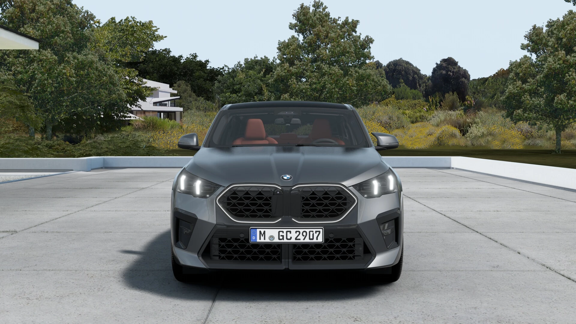 Hoofdafbeelding BMW X2