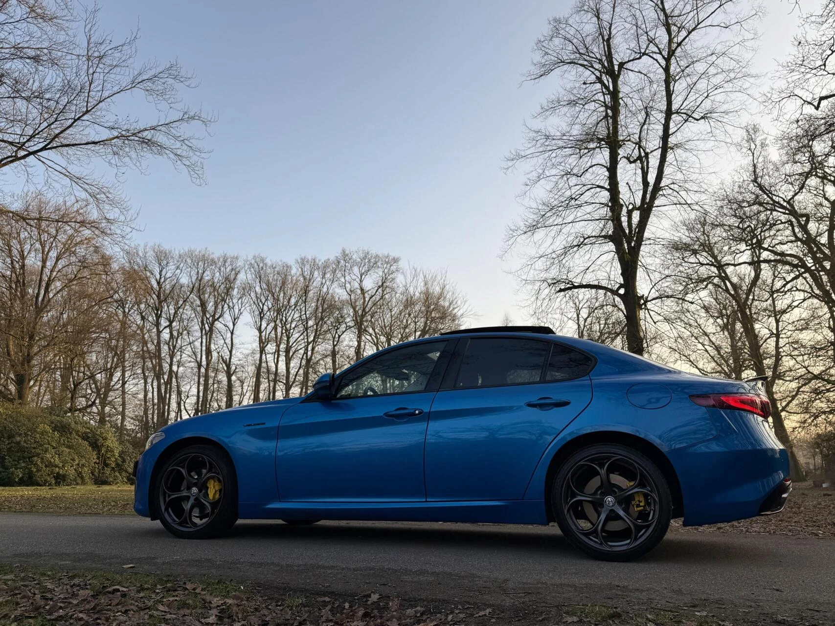 Hoofdafbeelding Alfa Romeo Giulia